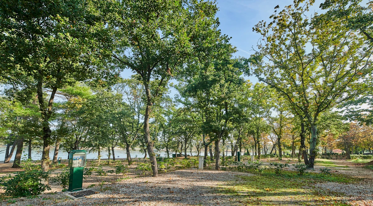 camping-puntica-pitch-classic