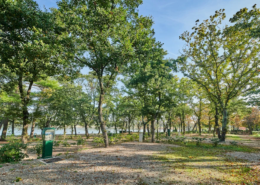 camping-puntica-pitch-classic