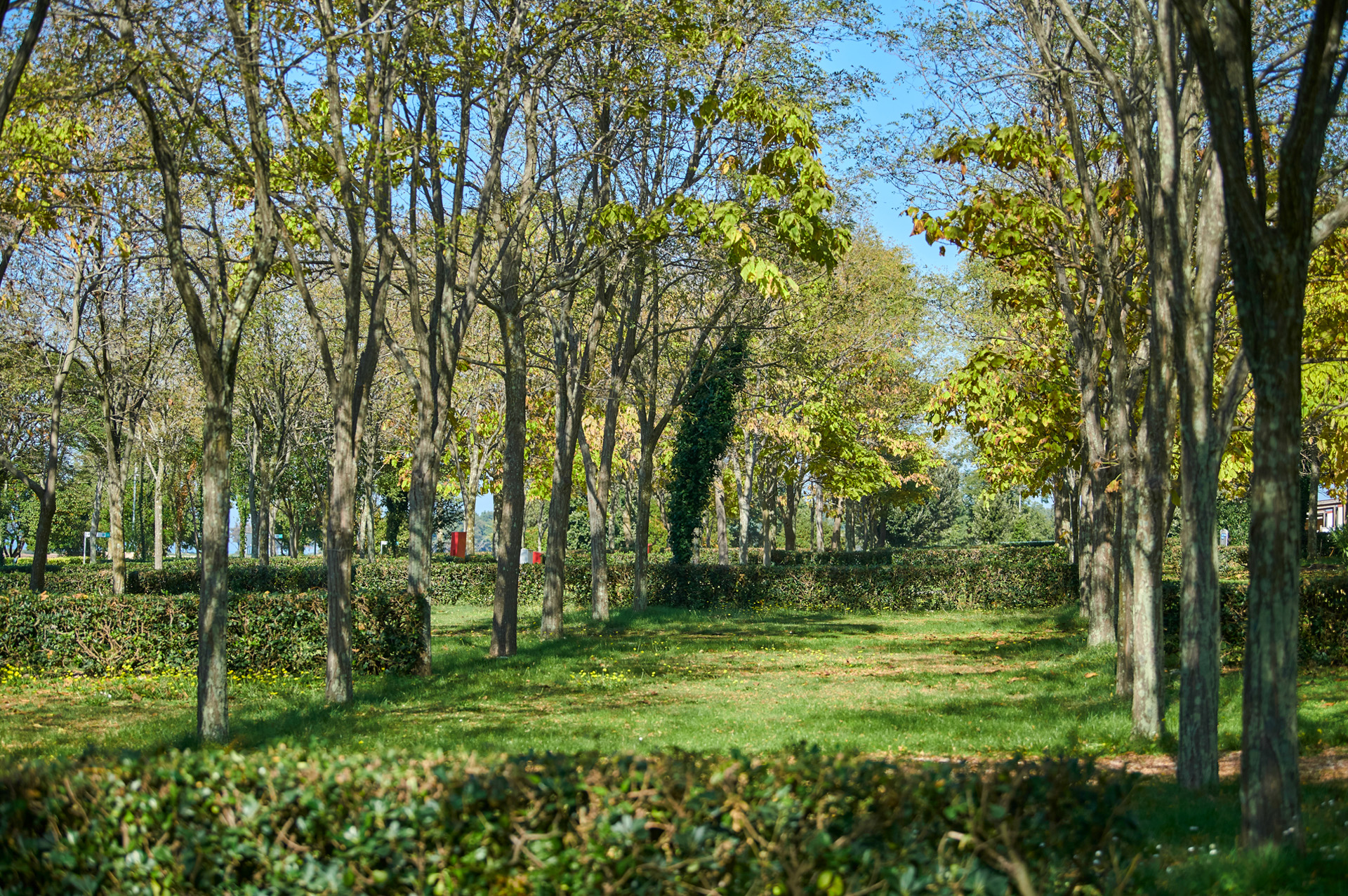 Camping Ulika Pitches Classic