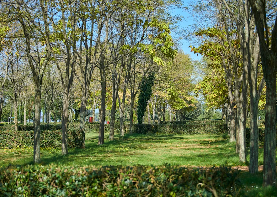 Camping Ulika Pitches Classic