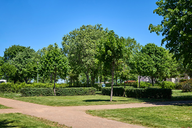 Istra Camping 2024 Camping Park Umag Accommodation units pitches Superior Lavanda Pitch SPL (5)