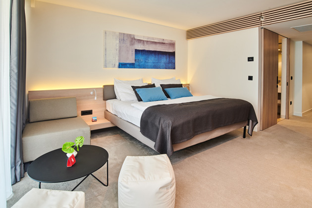 Park Resort Plava-Laguna 2018 Hotel Park Classic room with balcony C3B