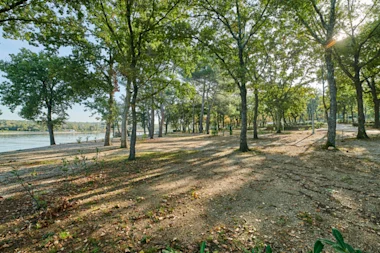 Istra Camping Camping Puntica 2019 Pitches Superior pitch - zone A SPA (1)