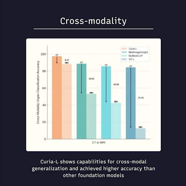 cross_modality_cropped