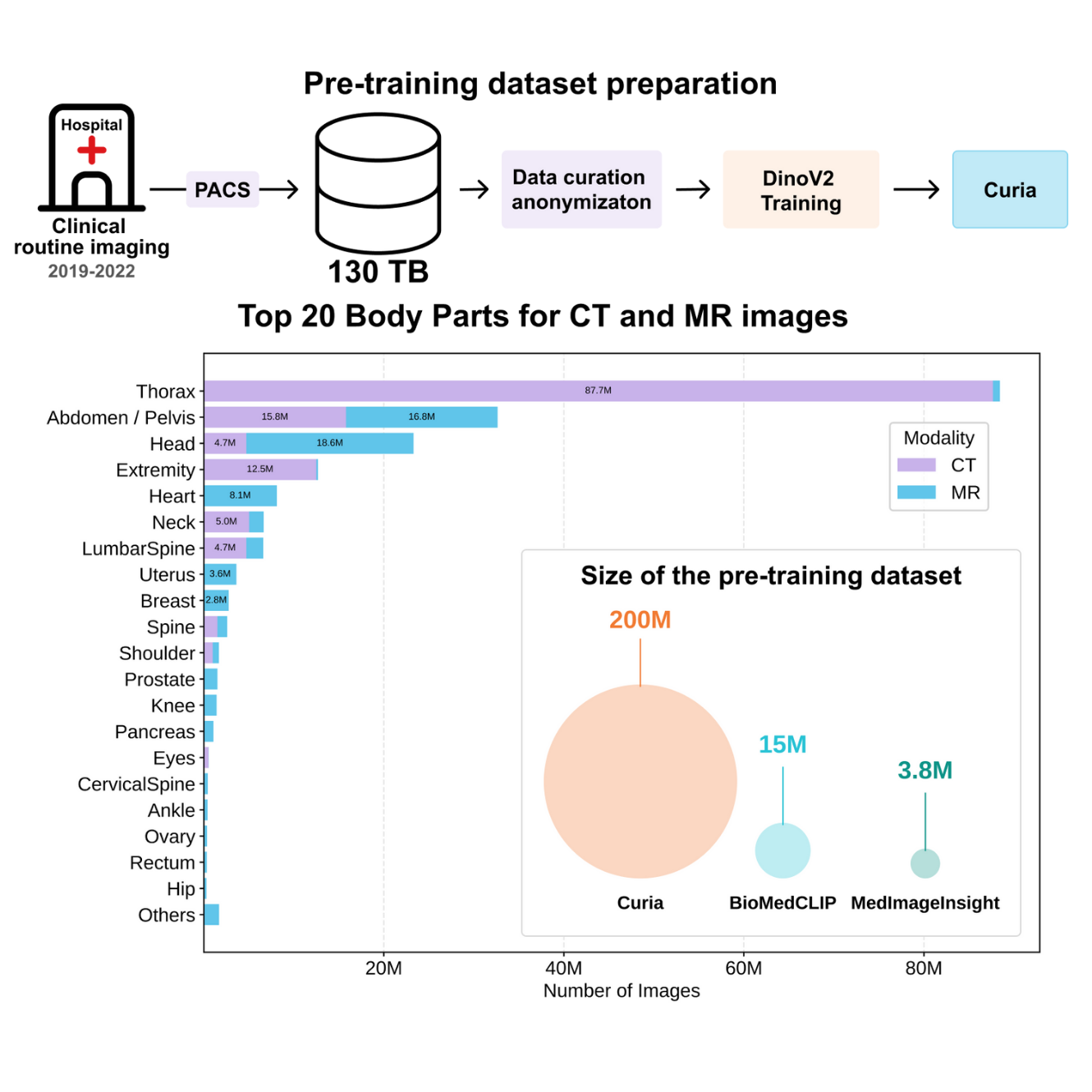 curia_dataset_2