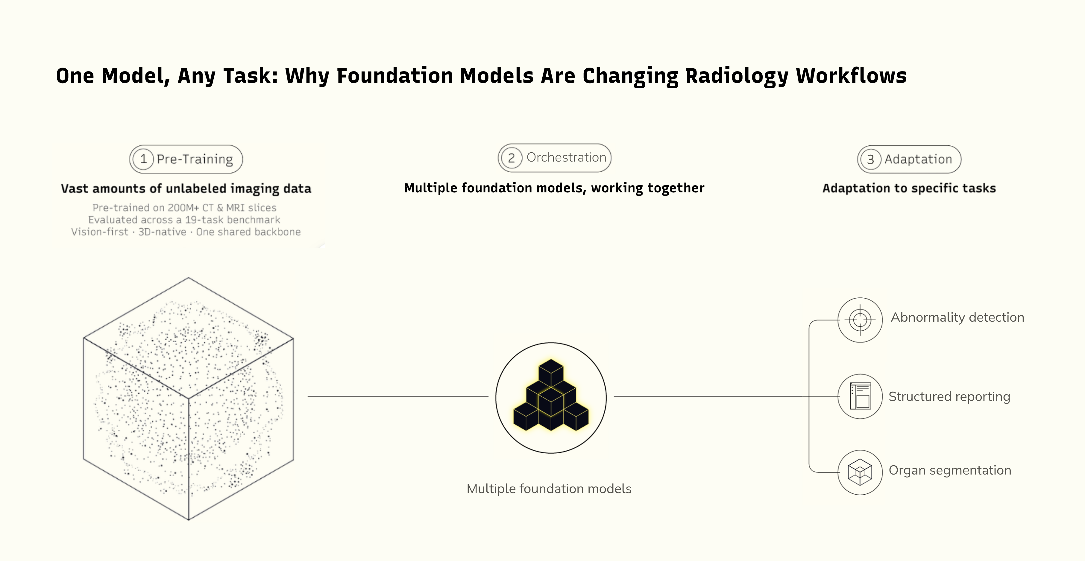 Preview image How a Foundation model learns