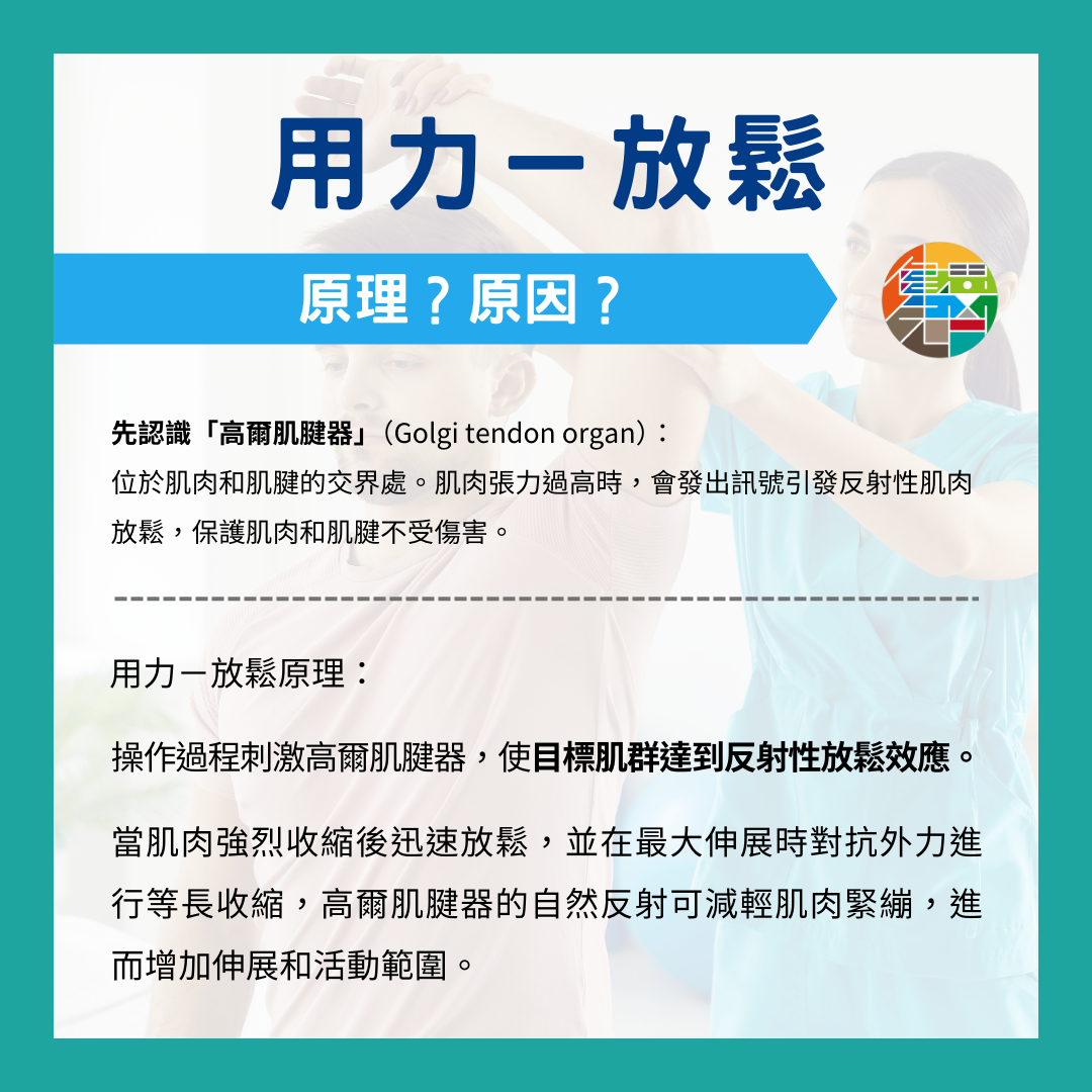 「用力放鬆」?用力怎麼放鬆?Feat. 歐峻邑院長 - 4.png