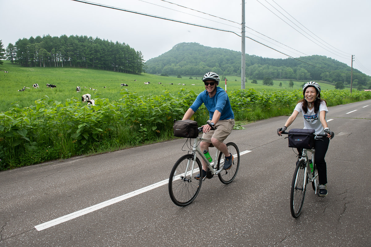 Two cyclists pass a field of cows