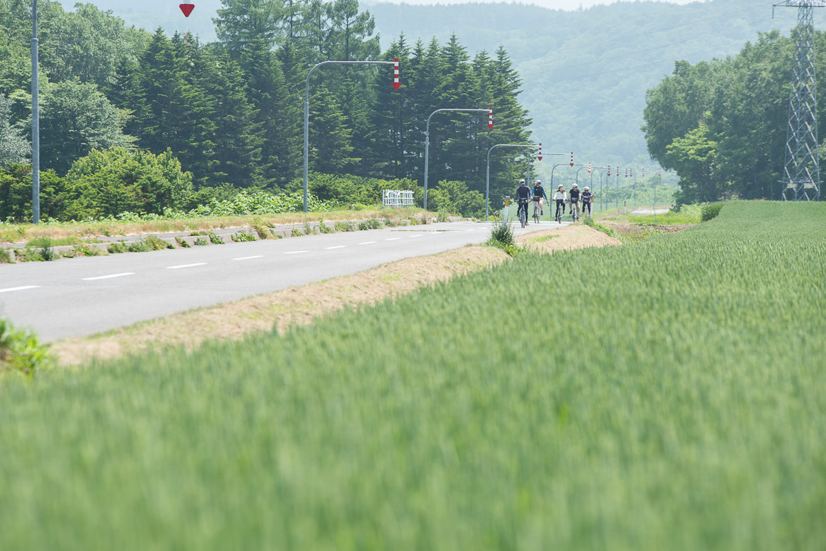 A guided cycling tour rides past green fields