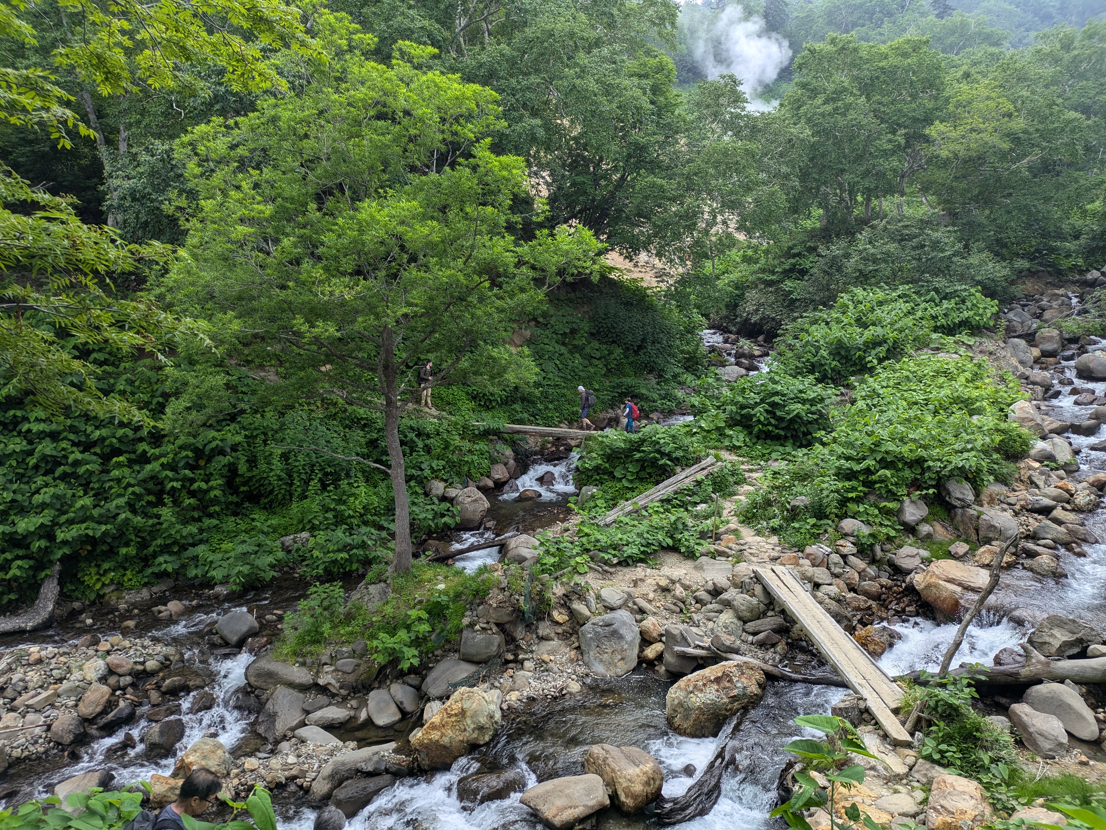 Wooden bridges criss-cross a river in a valley. Hikers are crossing the furthest bridge.