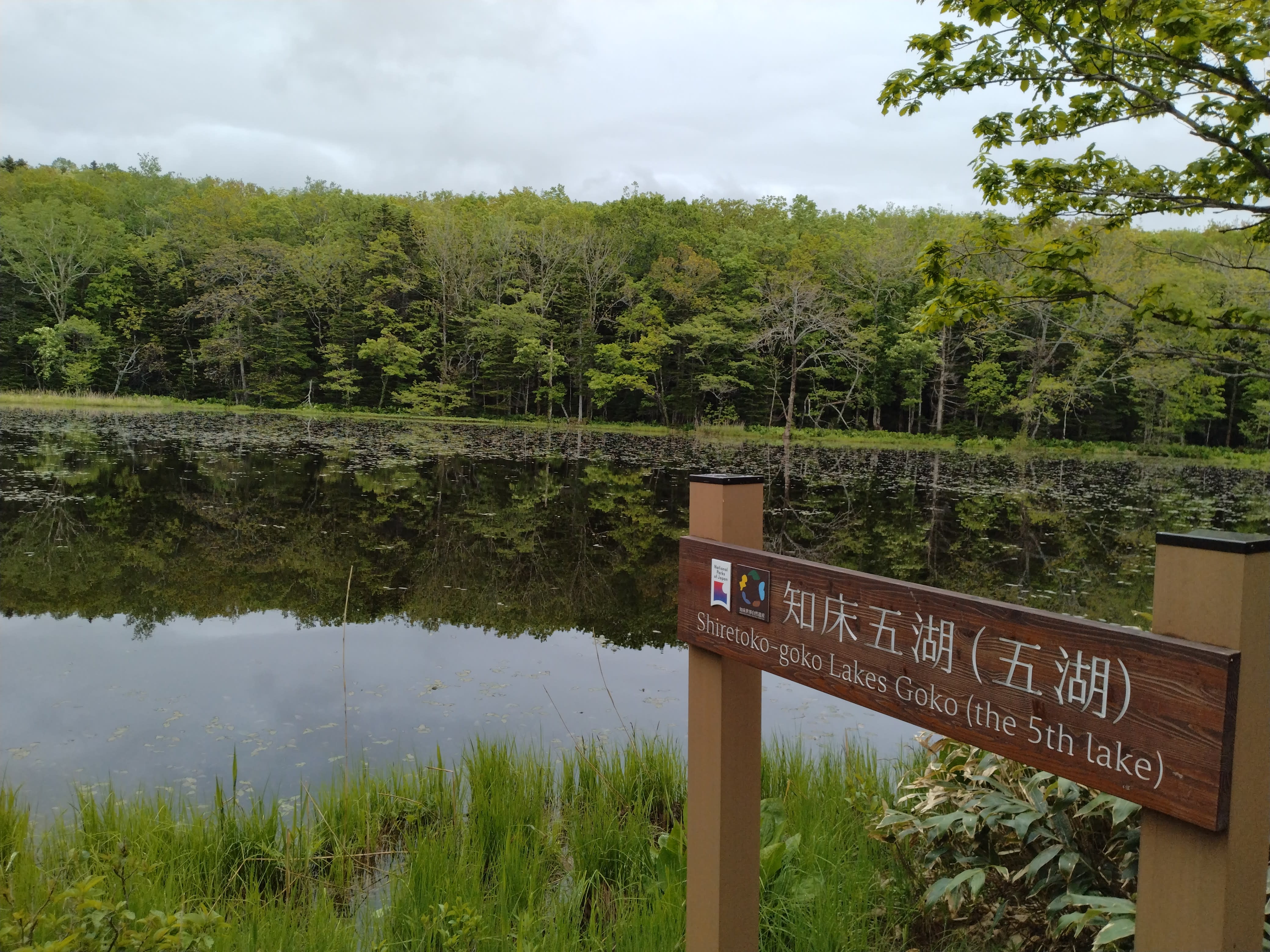A wooden sign in front of a small lake with a forest on the far side. The sign reads "Shiretoko-goko Lakes (the 5th Lake)" in both English and Japanese.