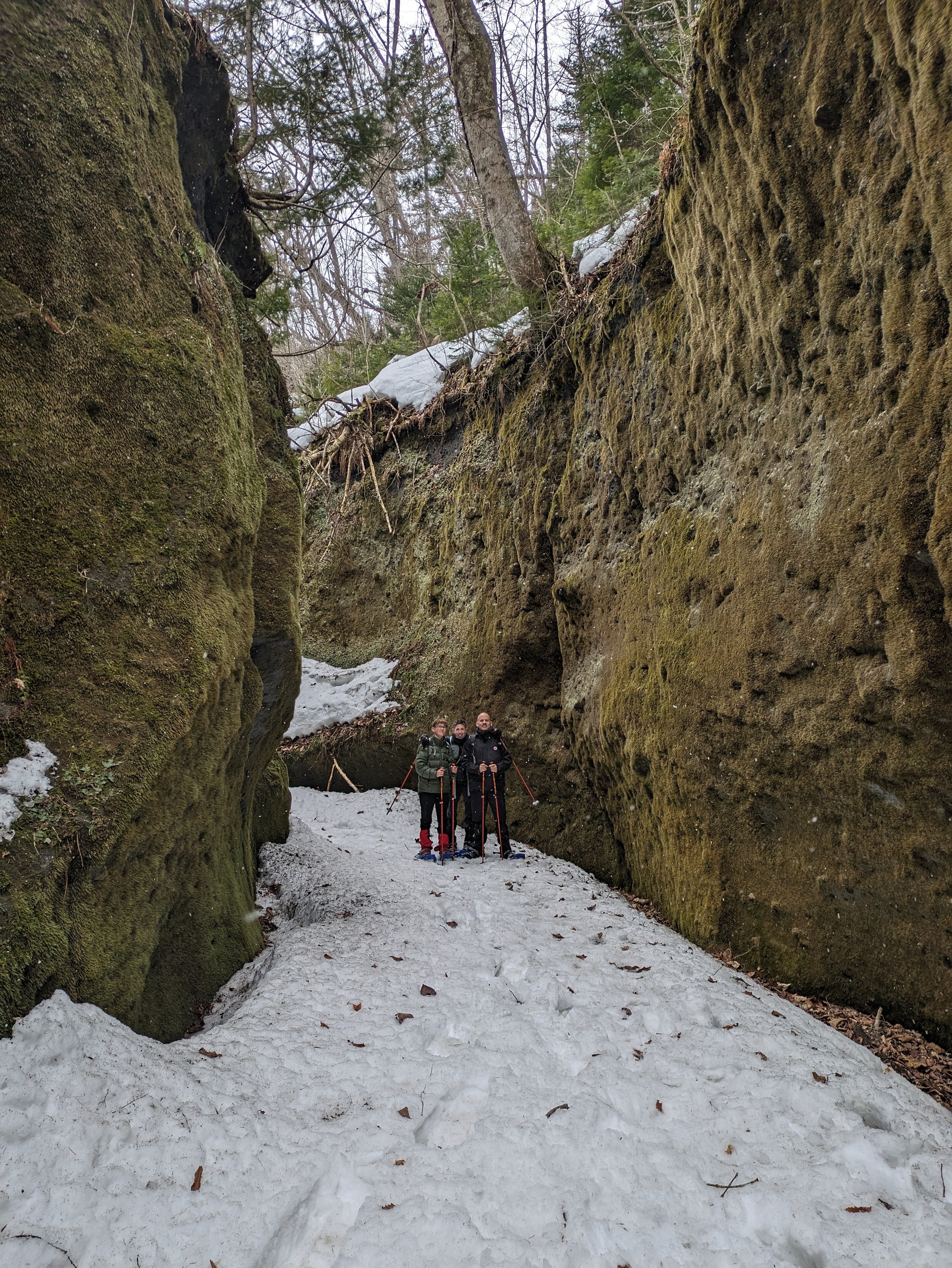 Three guests pose in the moss corridor at Mt. Tarumae on their snowshoeing excursion.