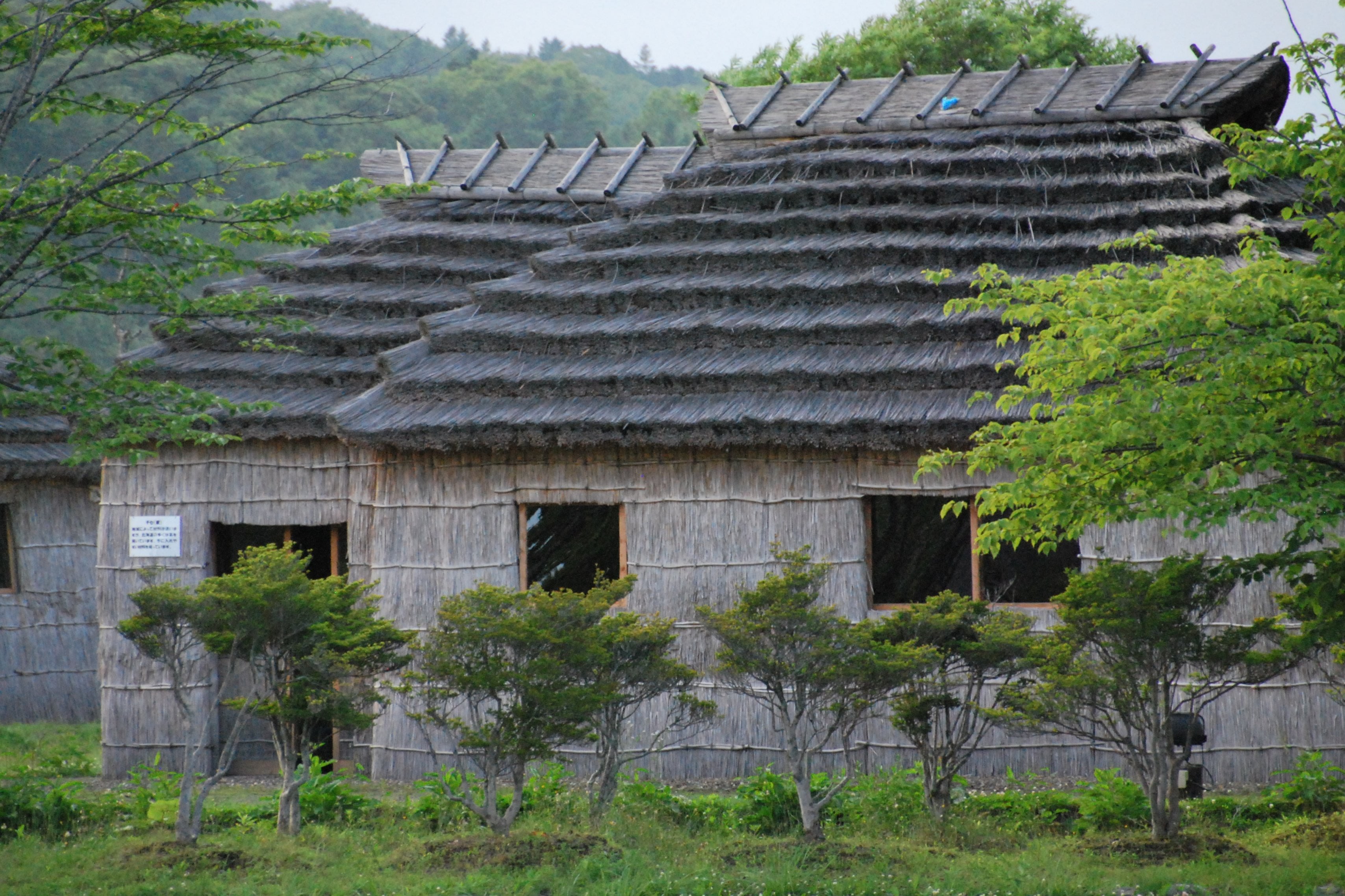 Traditional Ainu lodgings at Upopoy National Ainu Museum. The walls are made of reeds and the rooftops are thatched.