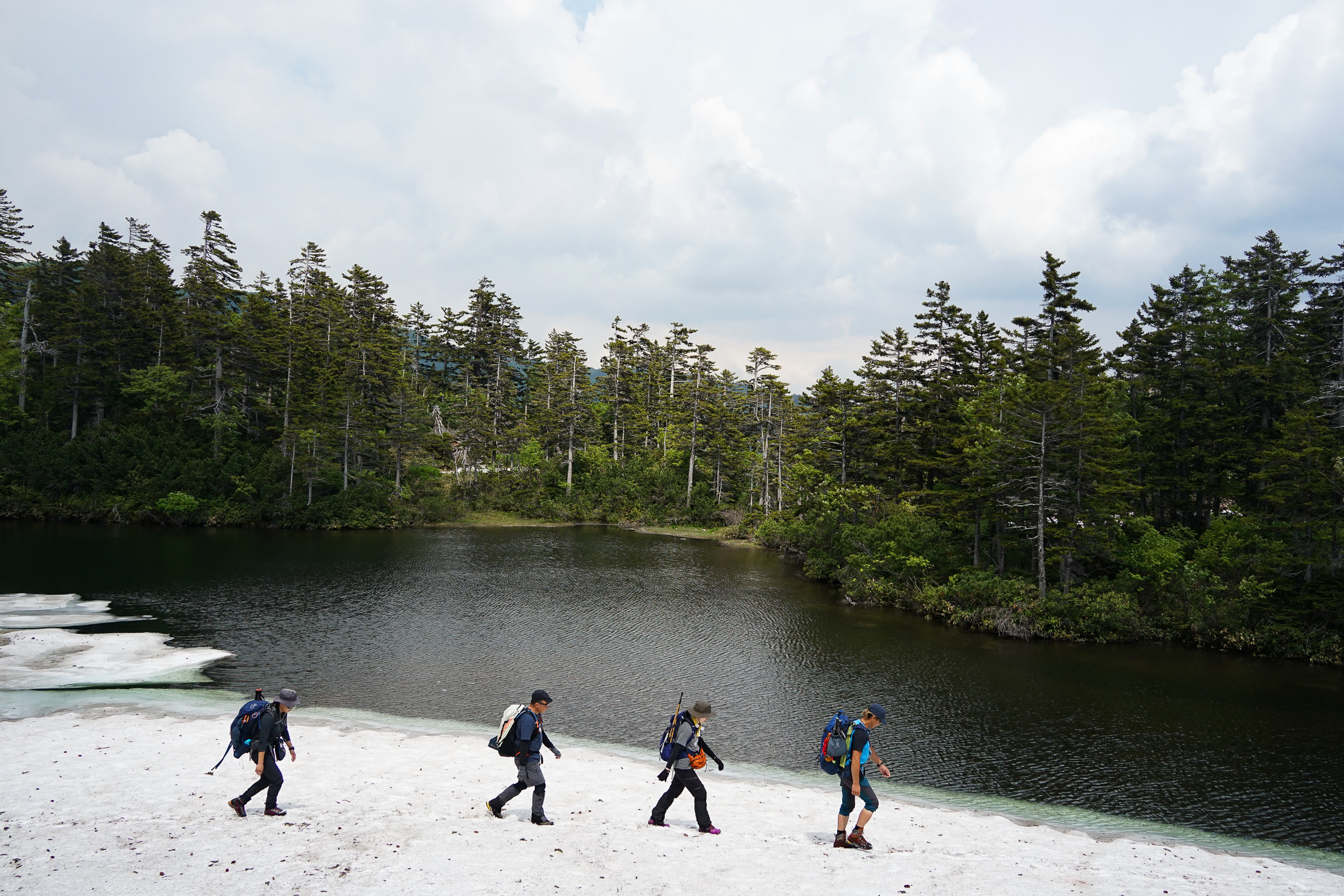 A group of hikers walk across a snowbank that sits next to an open pond in the Daisetsuzan National Park. The green trees behind the pond contrast with the white snow.