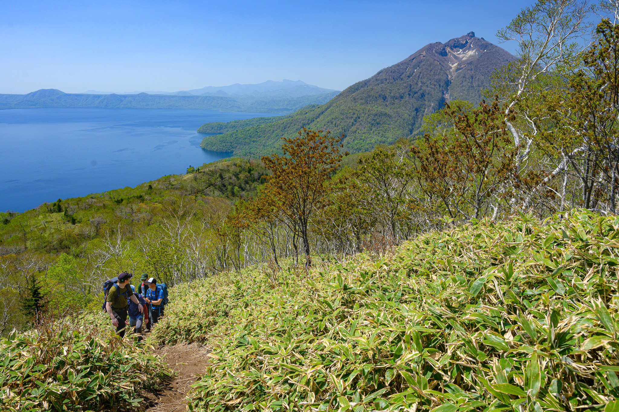 A group of hikers make their way up a steep slope lined with Sasa bamboo. Lake Shikotsu is behind them deep blue reflecting the clear blue sky. The jagged peak of Mt. Eniwa sits above the lake.