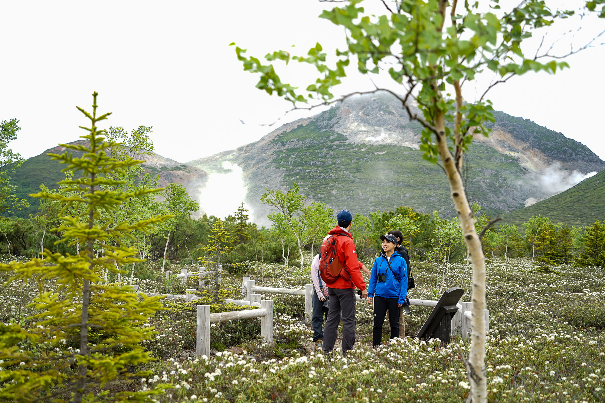 A group of hikers stand surrounded by Milky Way Rhododendron blossoms. Mt. Io, an active volcano, steams in the background.