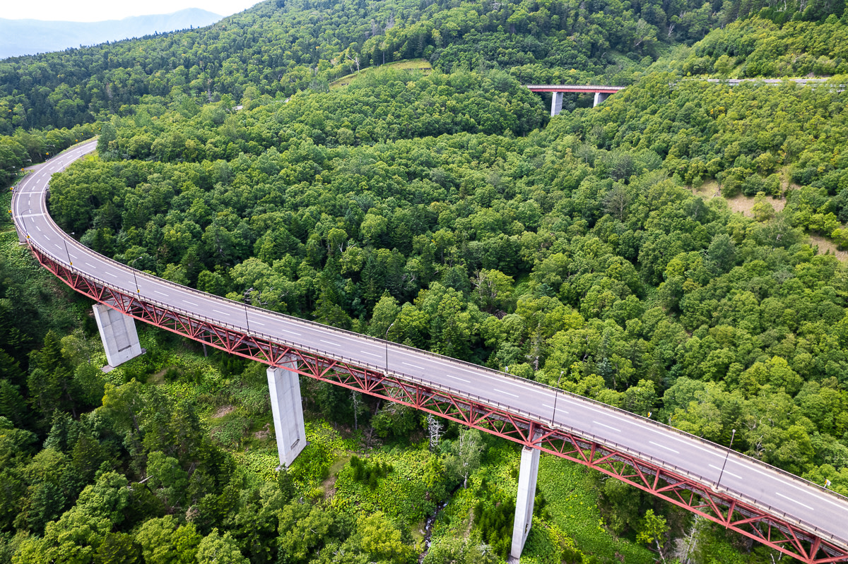 A drone photo of long bridge standing above the forest