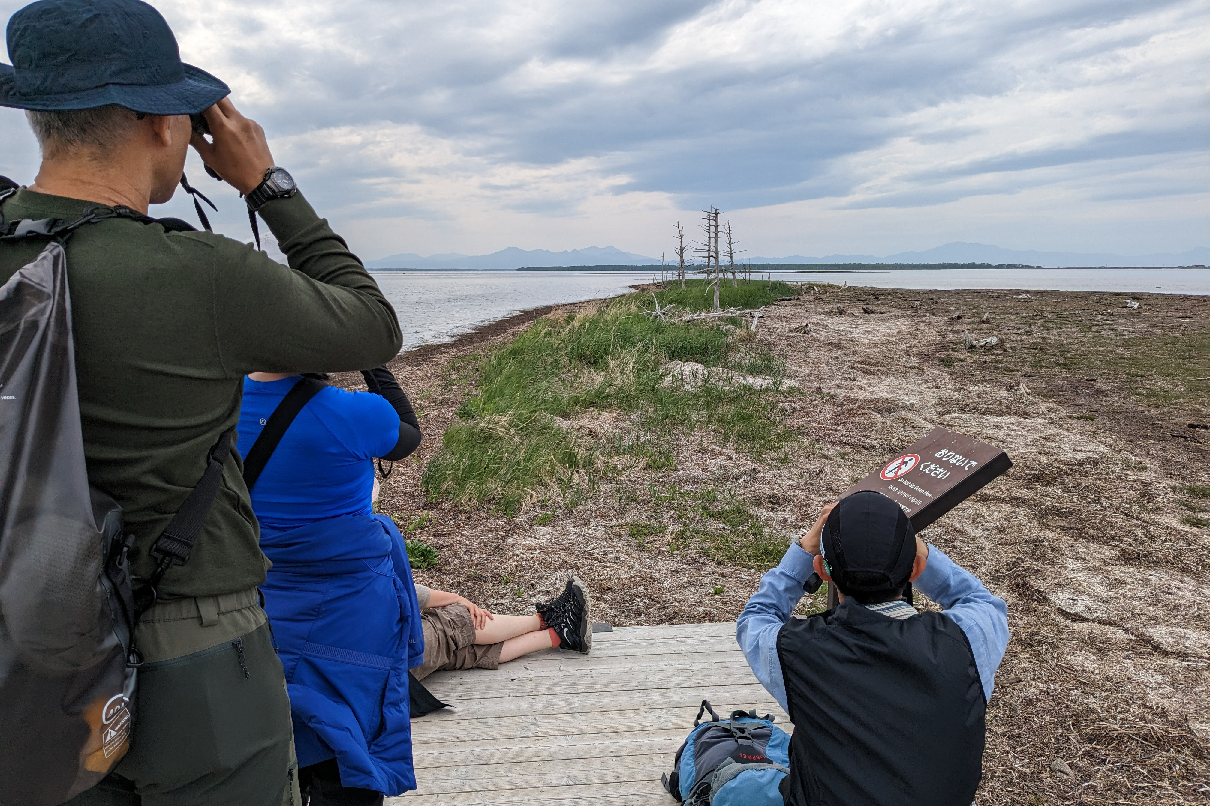 A group of birdwatchers sit on a wooden deck surrounded by sand and sea. They look into the distance towards some standing dead trees and mountains in the distance