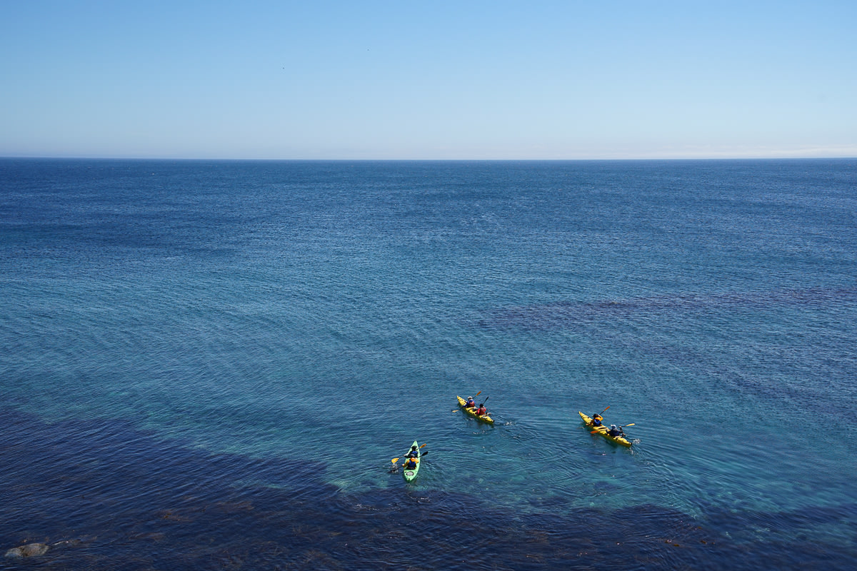 Sea kayakers paddle through blue water on Rishiri island