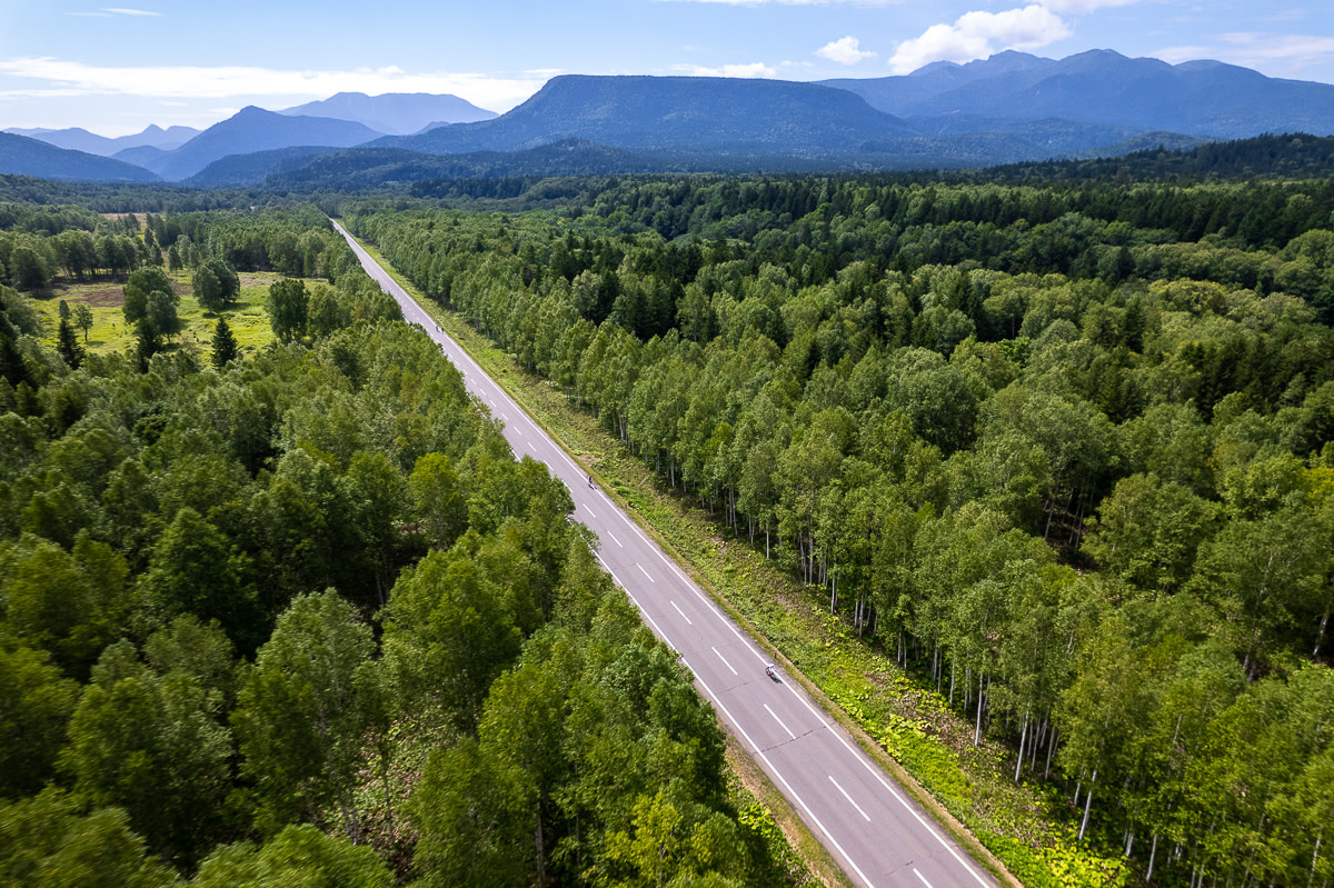An arial photo of a road cutting through a rich green forest in the Daisetsuzan National Park. Four  cyclists can be seen on the road and they look tiny in relation to the distant mountains.
