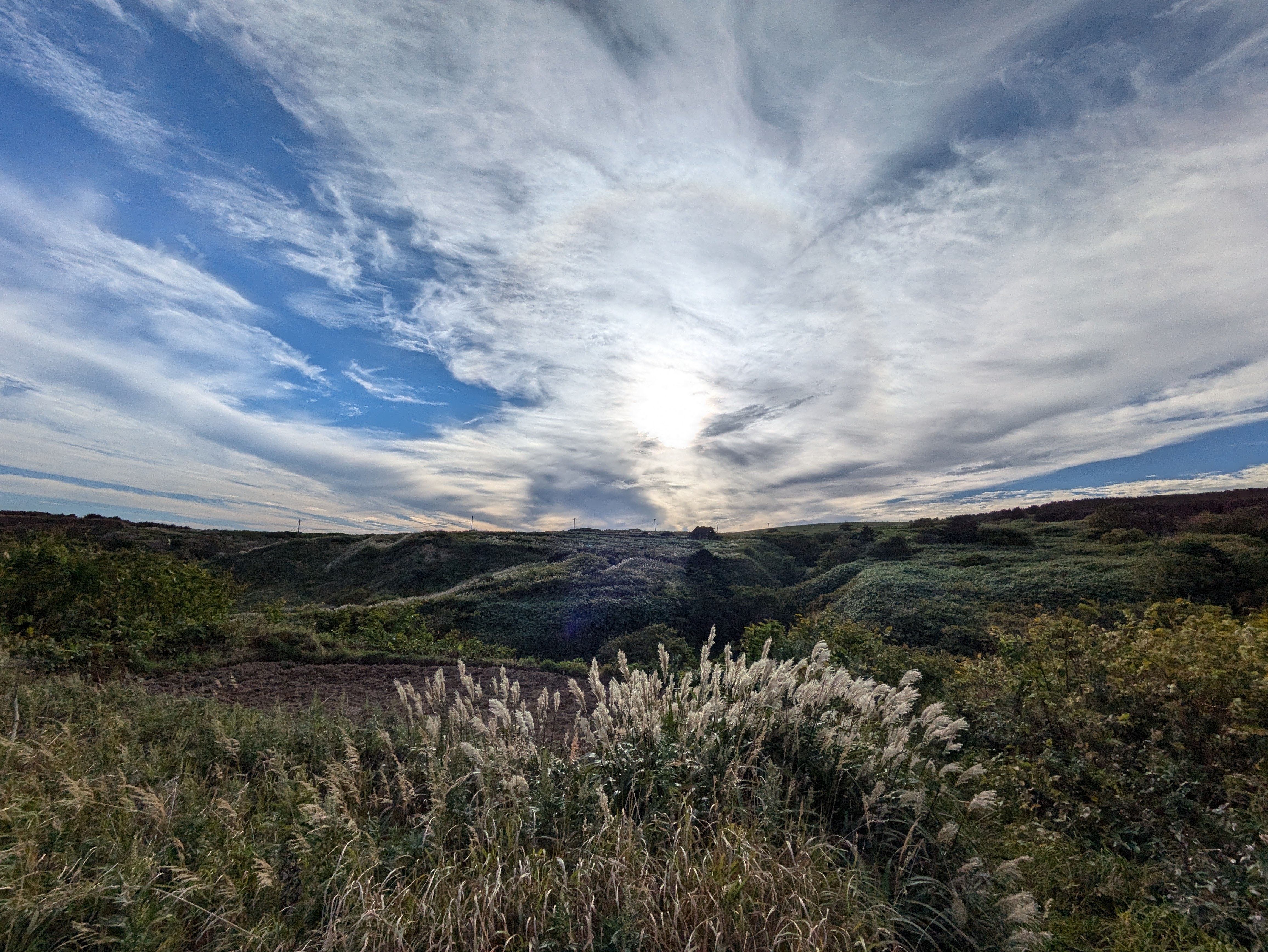 A view of the Momoiwa Trail on Rebun Island. It is a partially cloudy day and fluffy grasses are visible in the foreground.