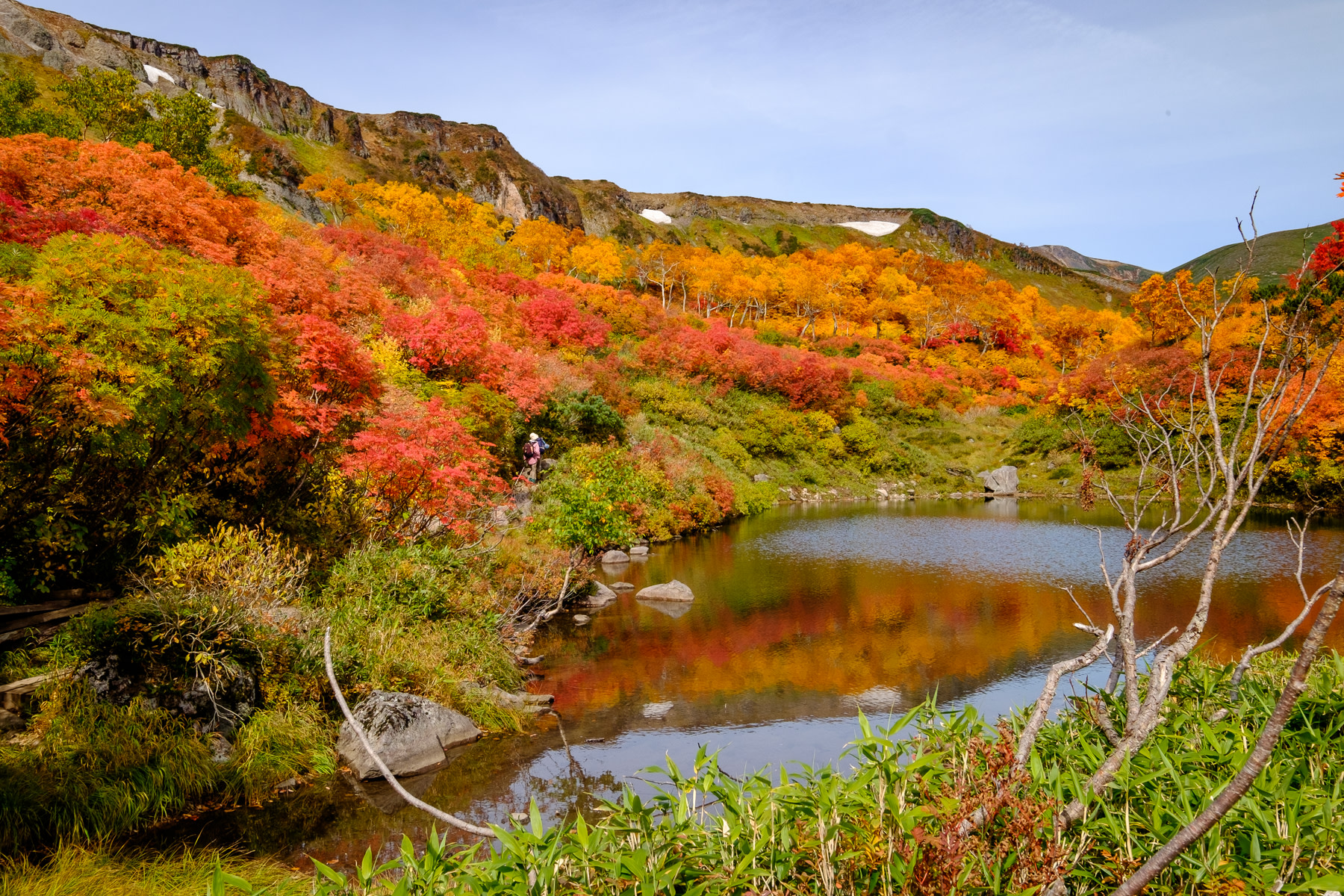A dazzling display of autumn colors at Kogen Numa in Daisetsuzan National Park.