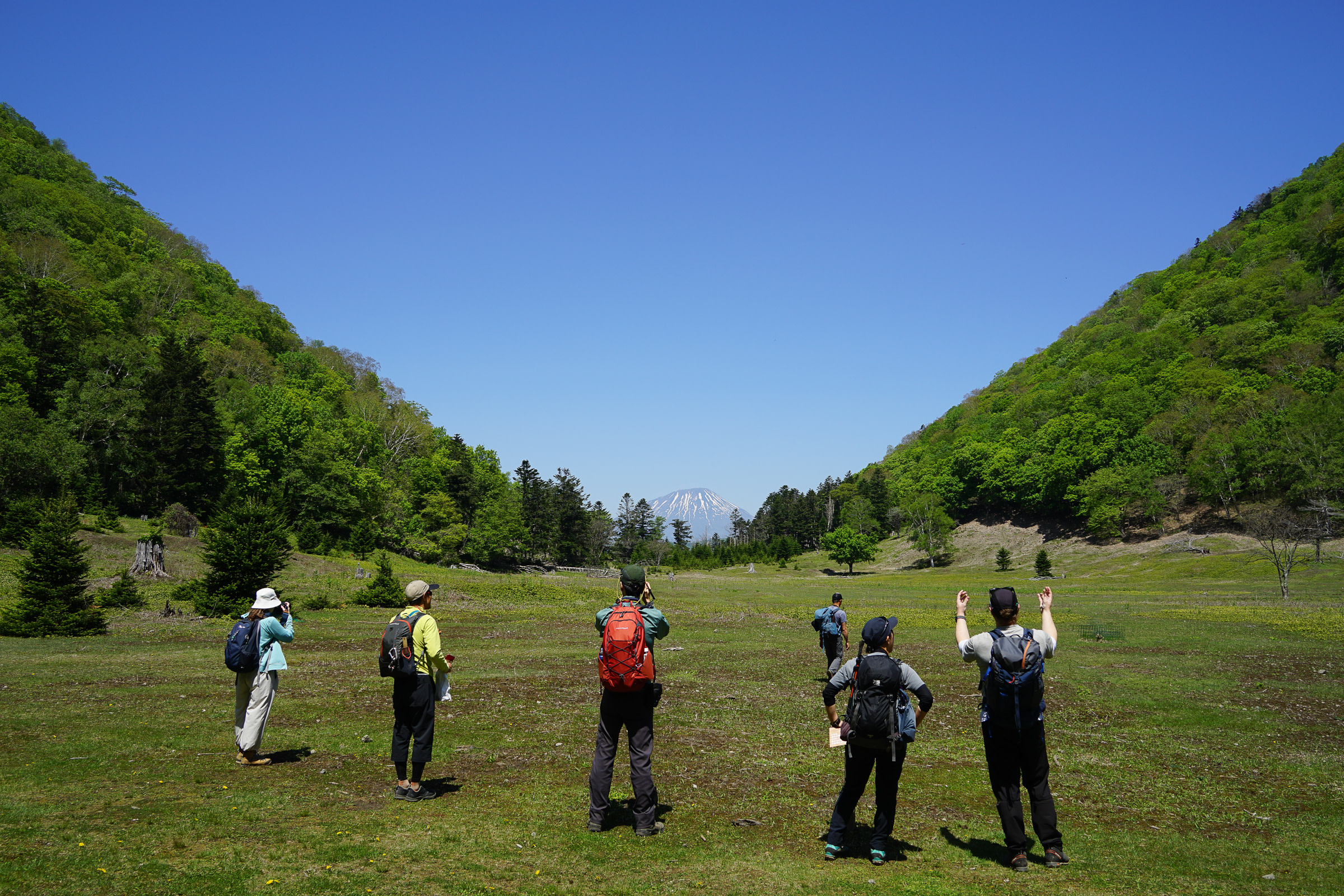 A line of guides in Daiheigen Plateau (a grassland) on Nakajima Island, Lake Toya. They are all facing away from the camera, looking towards Mt. Yotei, a conical volcano, in the distance.