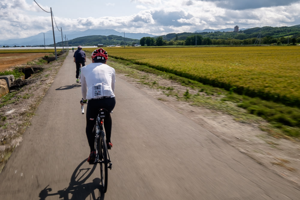 Golden rice passes in a blur as a group of cyclists ride down a narrow backroad near Furano.