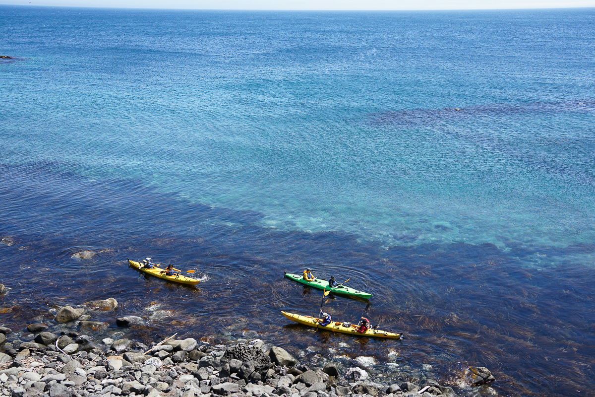 The crystal clear waters of Rishiri are home to kombu kelp