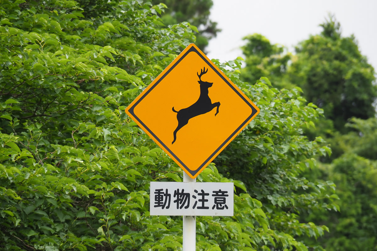 A Japanese road sign warning of deer crossing