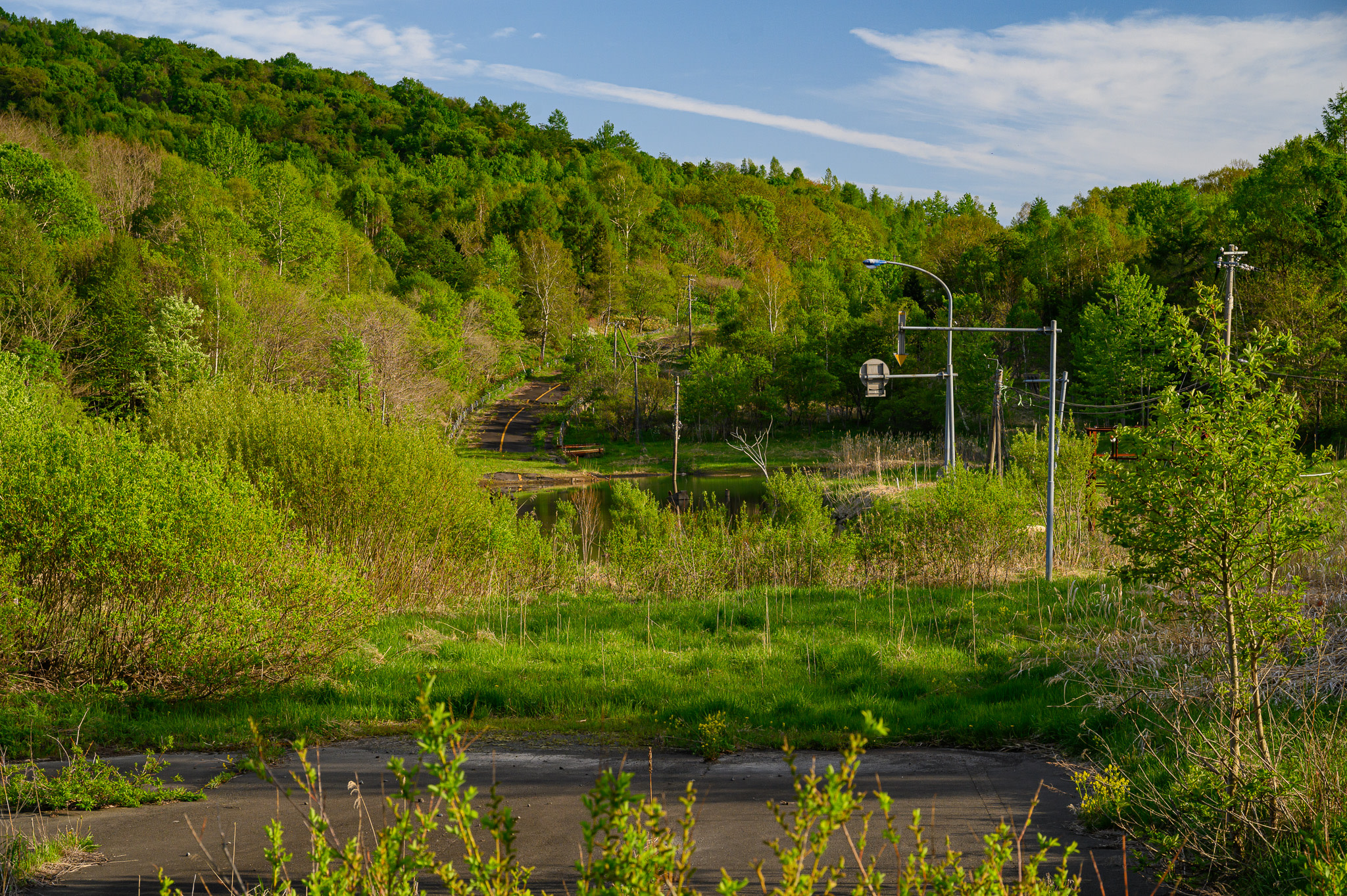 A road at Nishiyama-Kompira, Lake Toya. The road was destroyed by volcanic forces causing the road to distort prior to a 2000 eruption. The road lifts up in sections like stairs and has a large crater lake in the middle of it. Greenery is growing all over the ruined road.