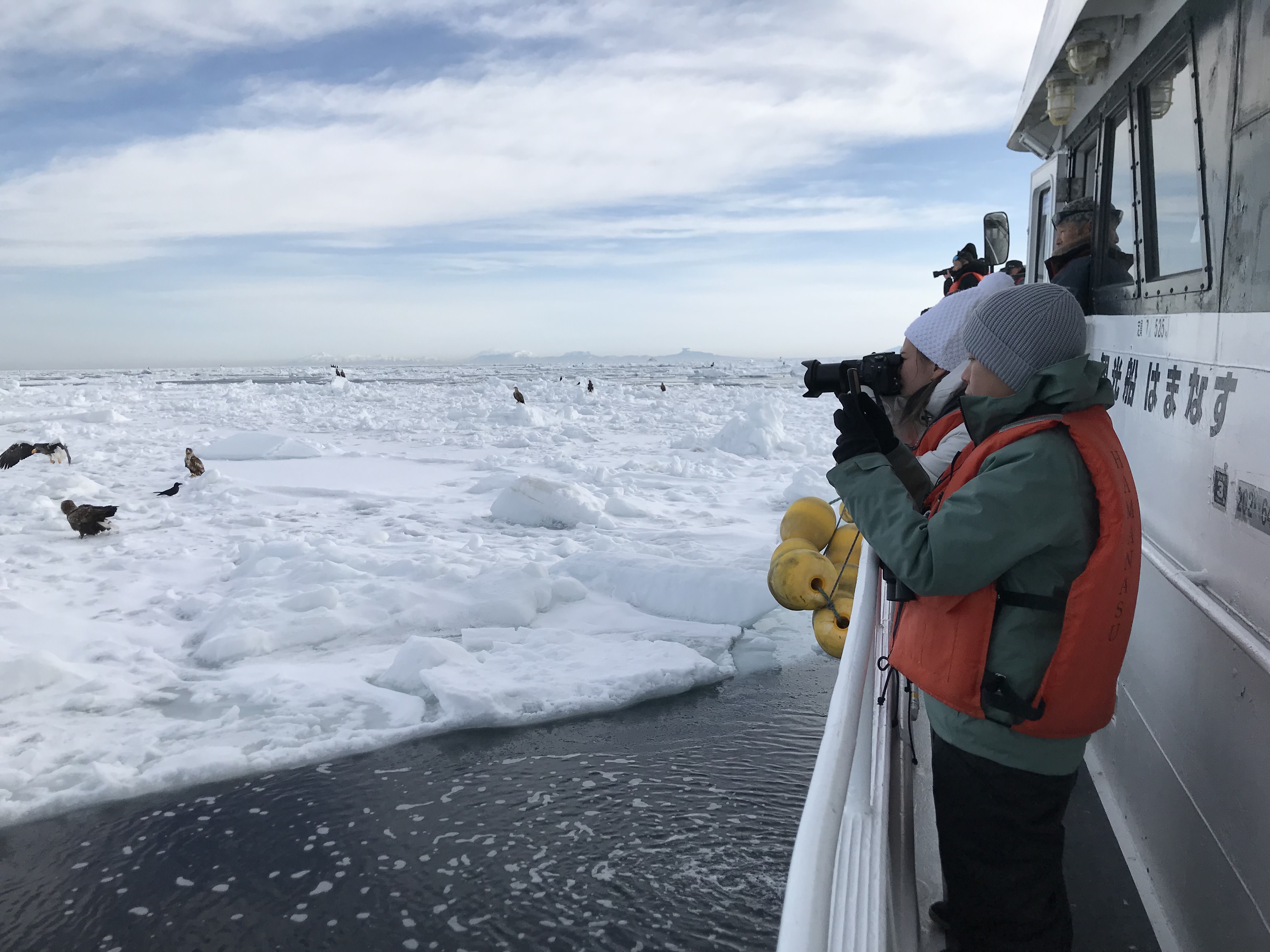 Guests aboard a boat take pictures of Steller's Sea Eagles on the drift ice.