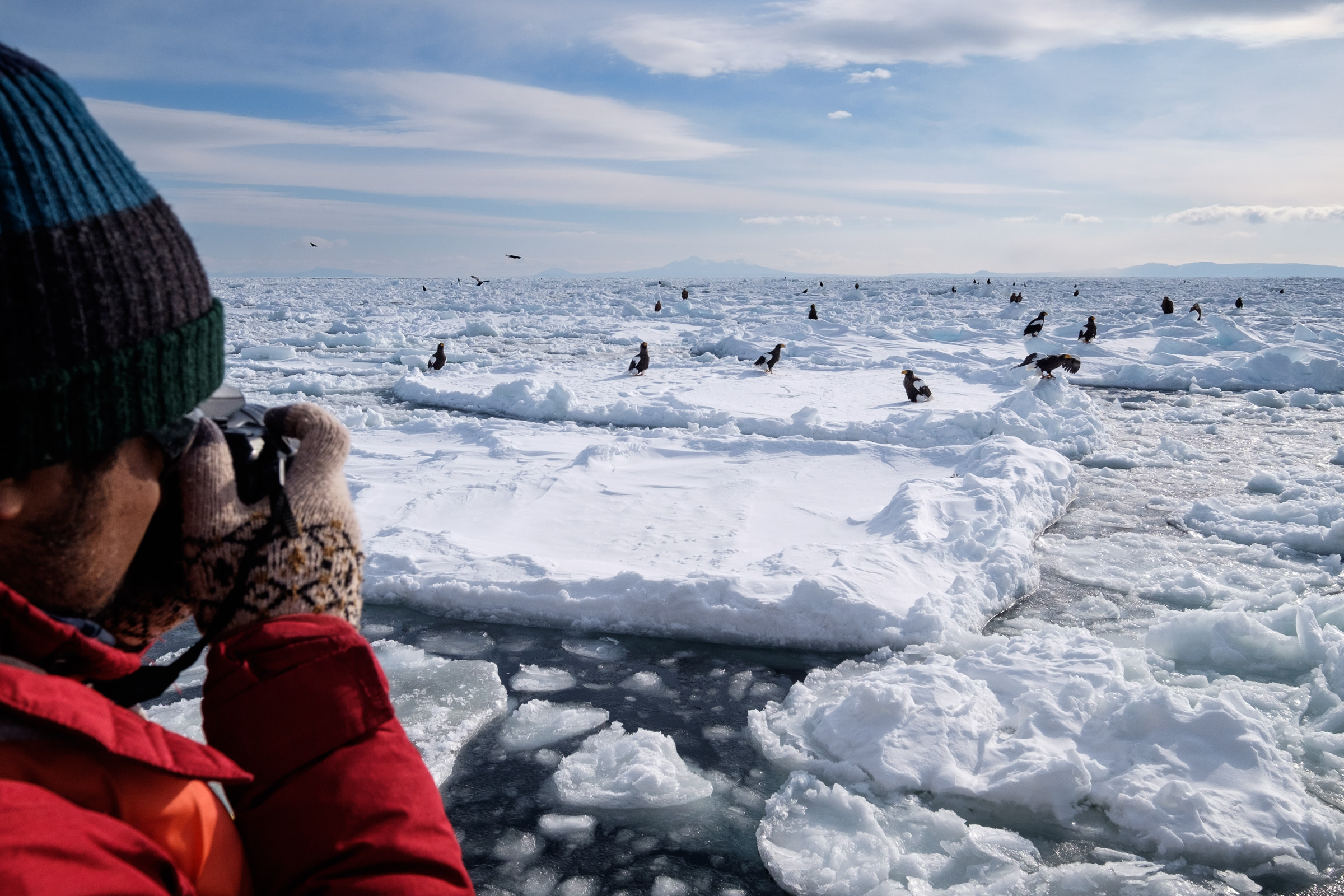 A photographer takes a photo of Stellar's Sea Eagles gathered on broken drift ice off the coast of Rausu, Shiretoko.