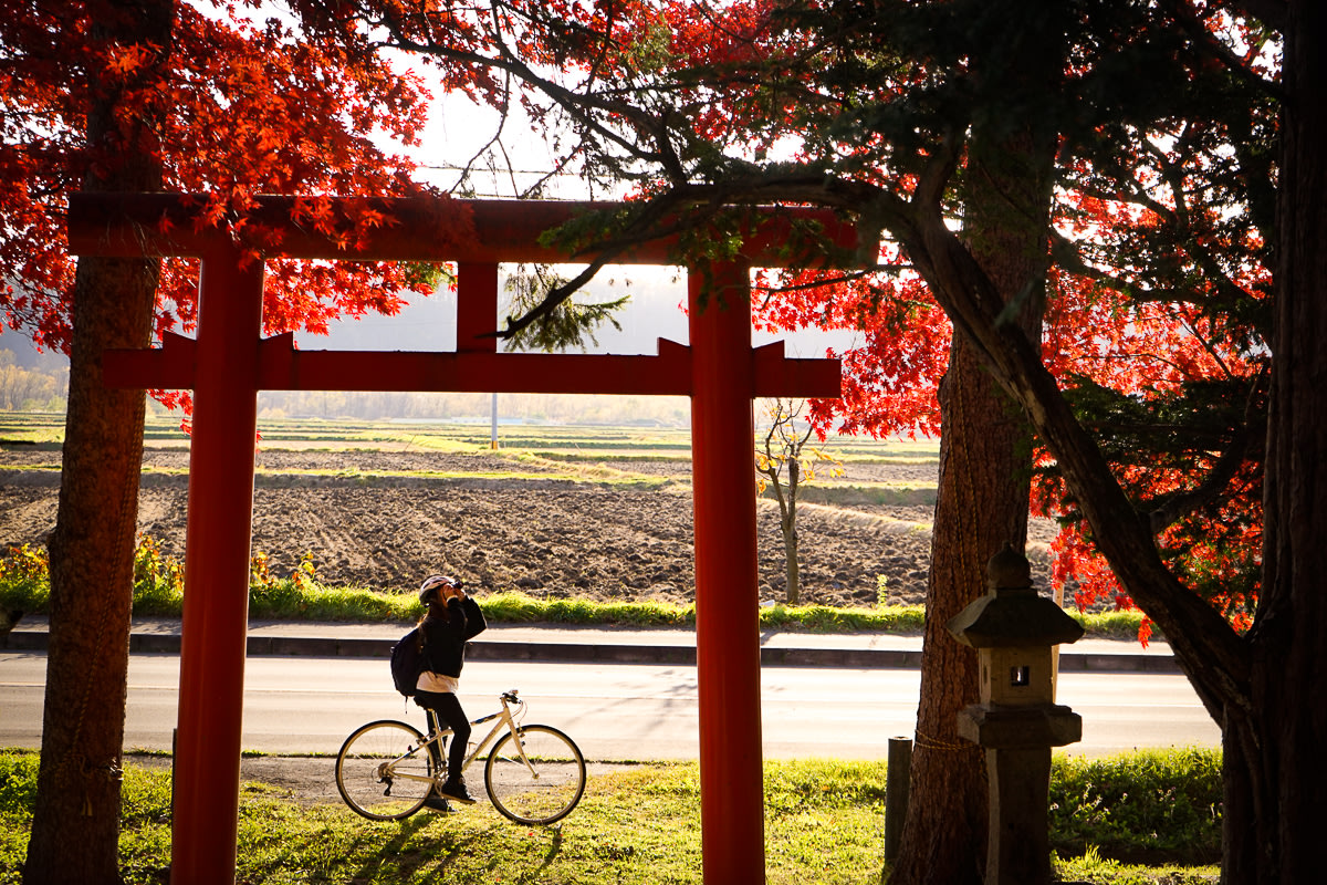 Cyclist at a shrine gate amongst autumn leaves - What to do in Hokkaido