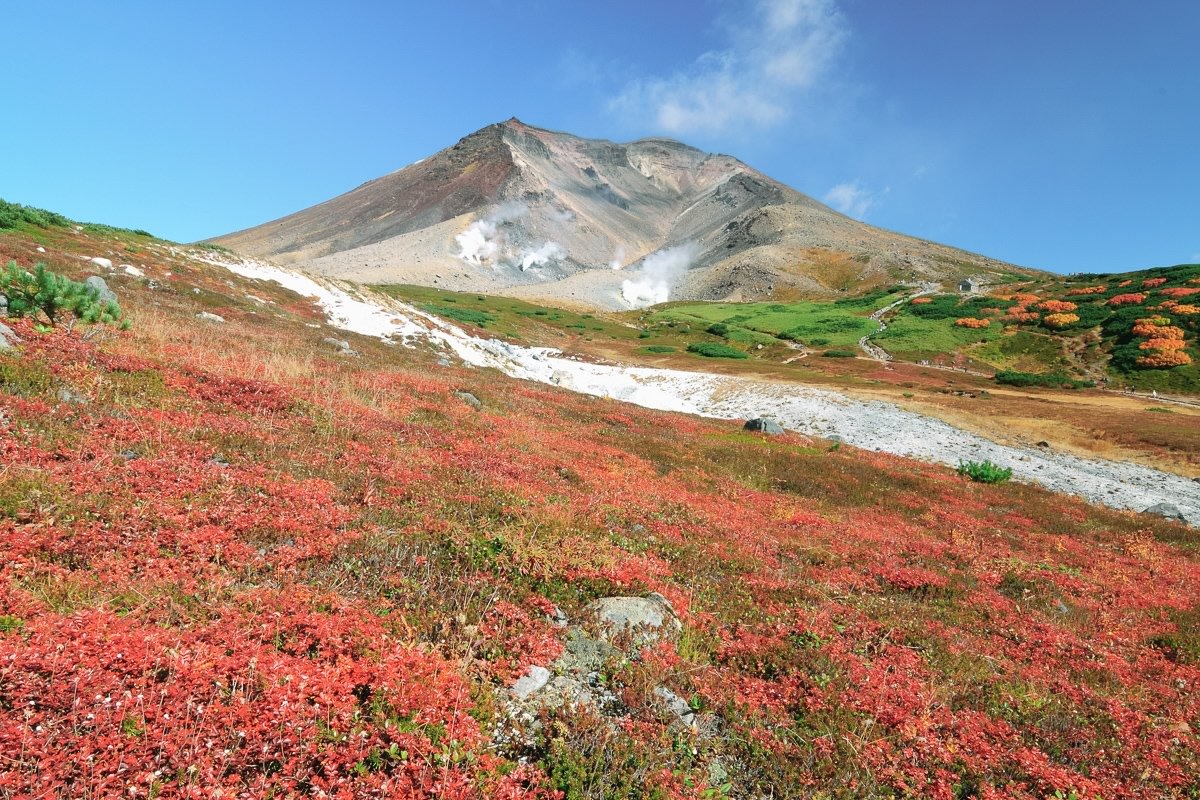 Mt Asahidake in autumn colours