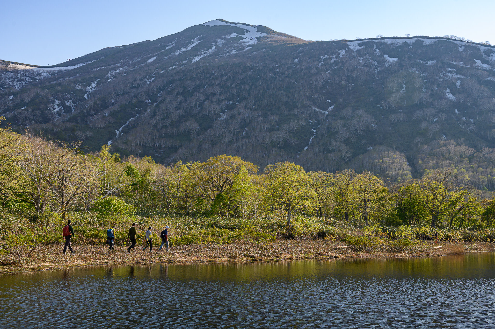 A group of hikers walks alongside Kagaminuma Pond in Niseko. They are walking along the water's edge in the distance, with a small forest and mountain in the background. The mountain still has some snow on it.