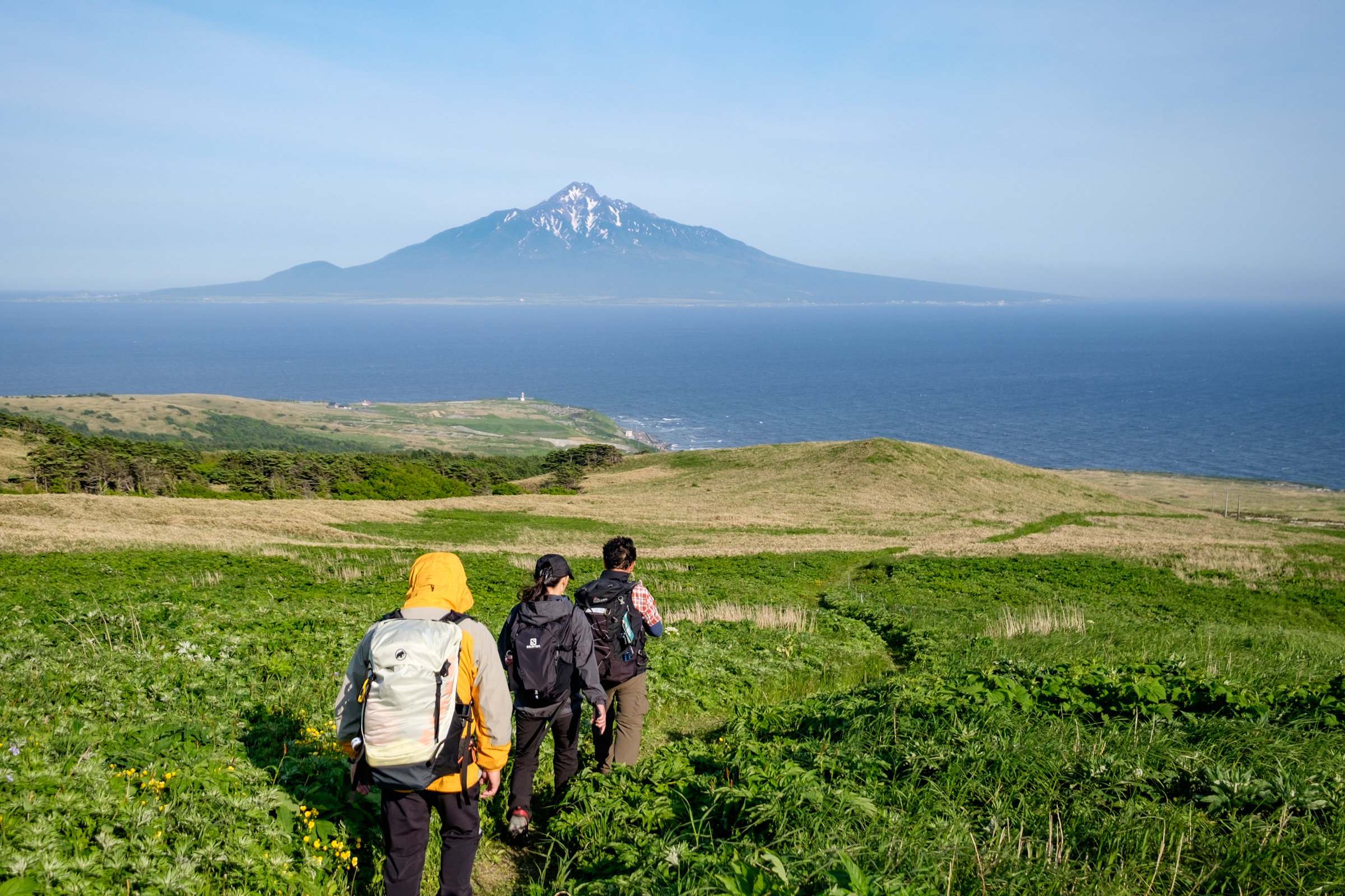 A group of hikers walk through low lying green vegetation on Rebun island. There are no trees and the hikers have an unrestricted view of Mt Rishiri across the sea.