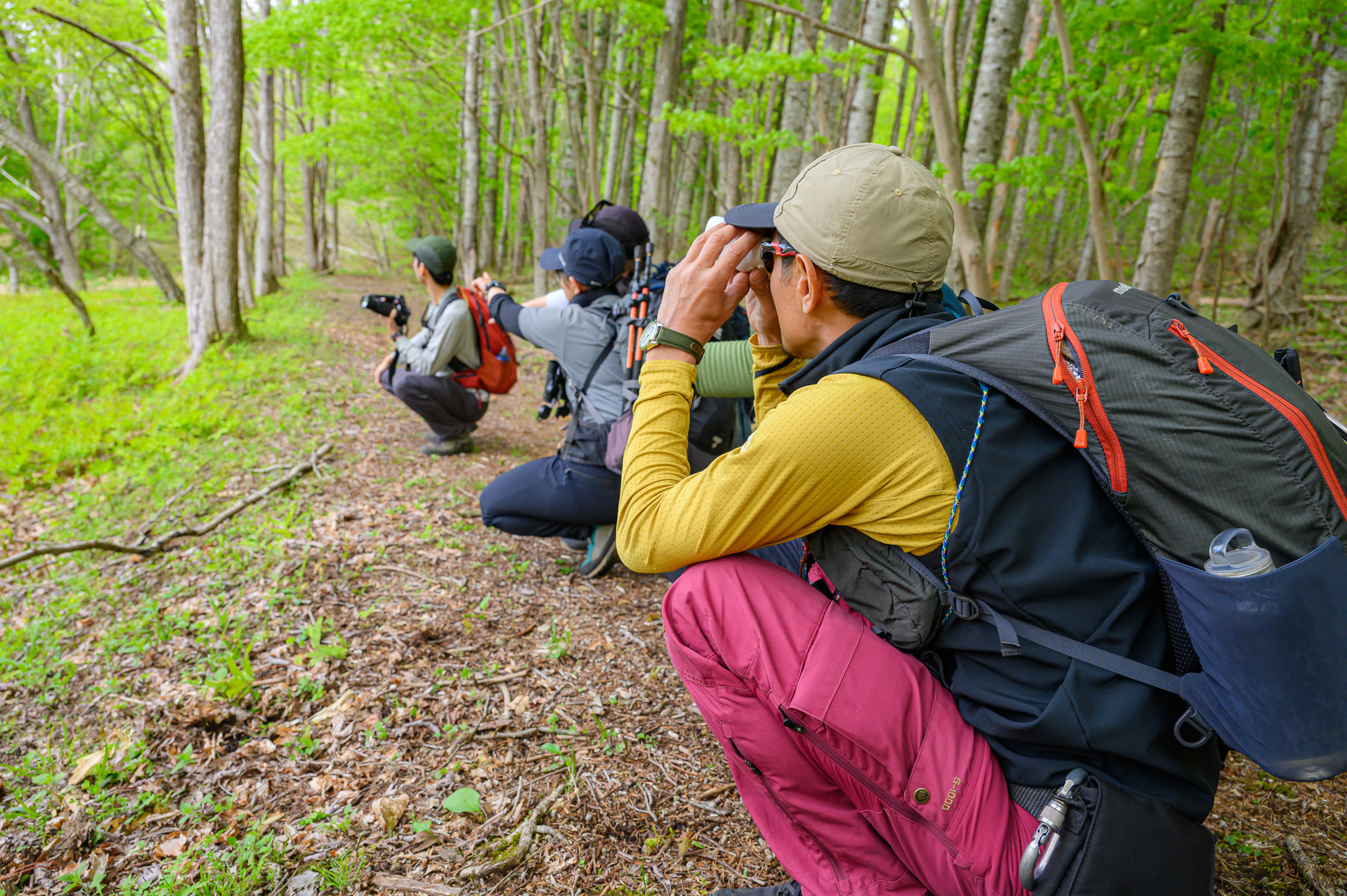 A group of people crouches on a forest trail, peering through binoculars and pointing to something off-screen.