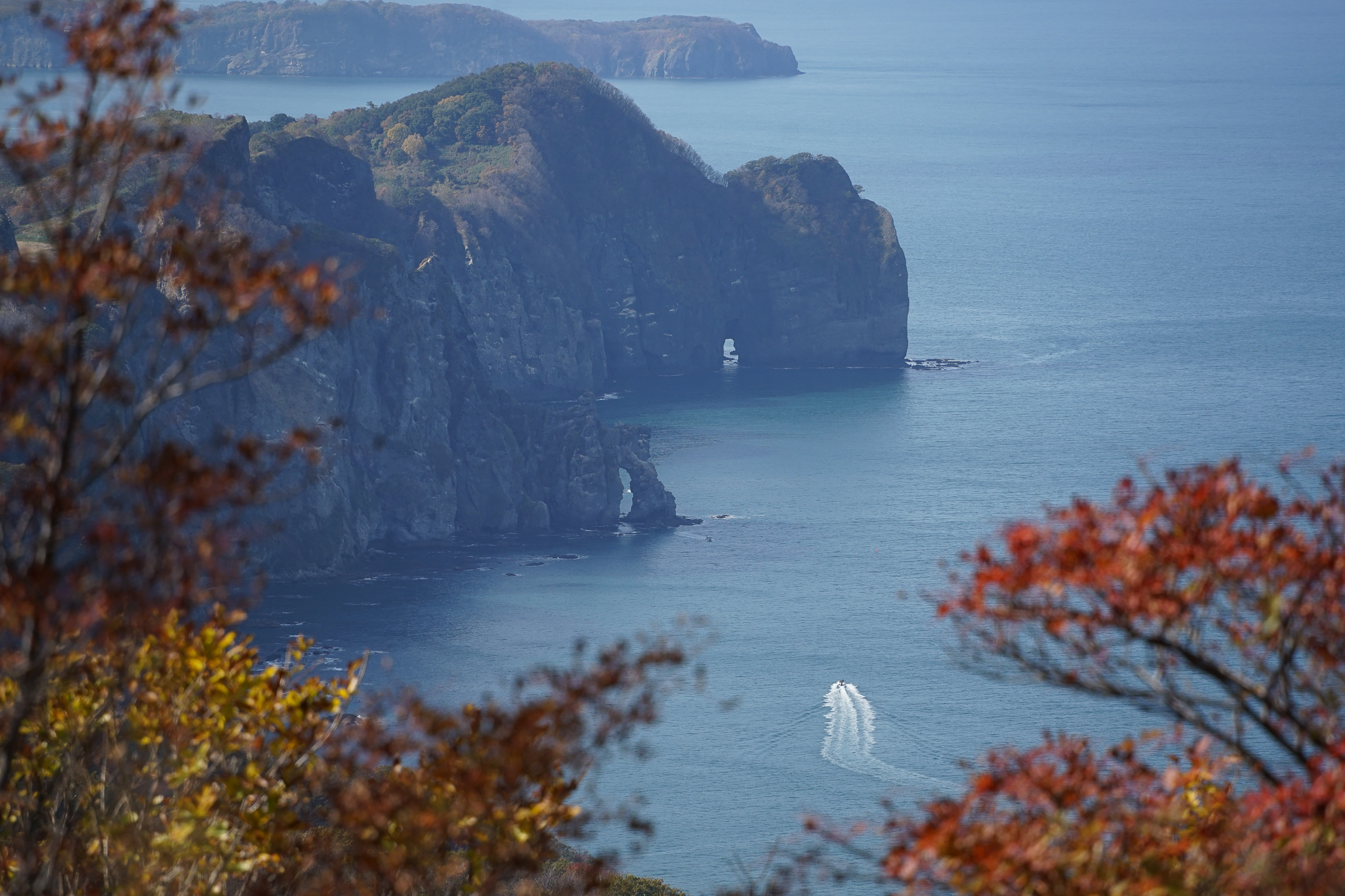 A view of the ocean from atop the Akaiwa-Otamoi Nature Trail in Otaru. There are cliffs rising out of the sea and a boat is travelling on the water. The image is framed by autumn leaves.