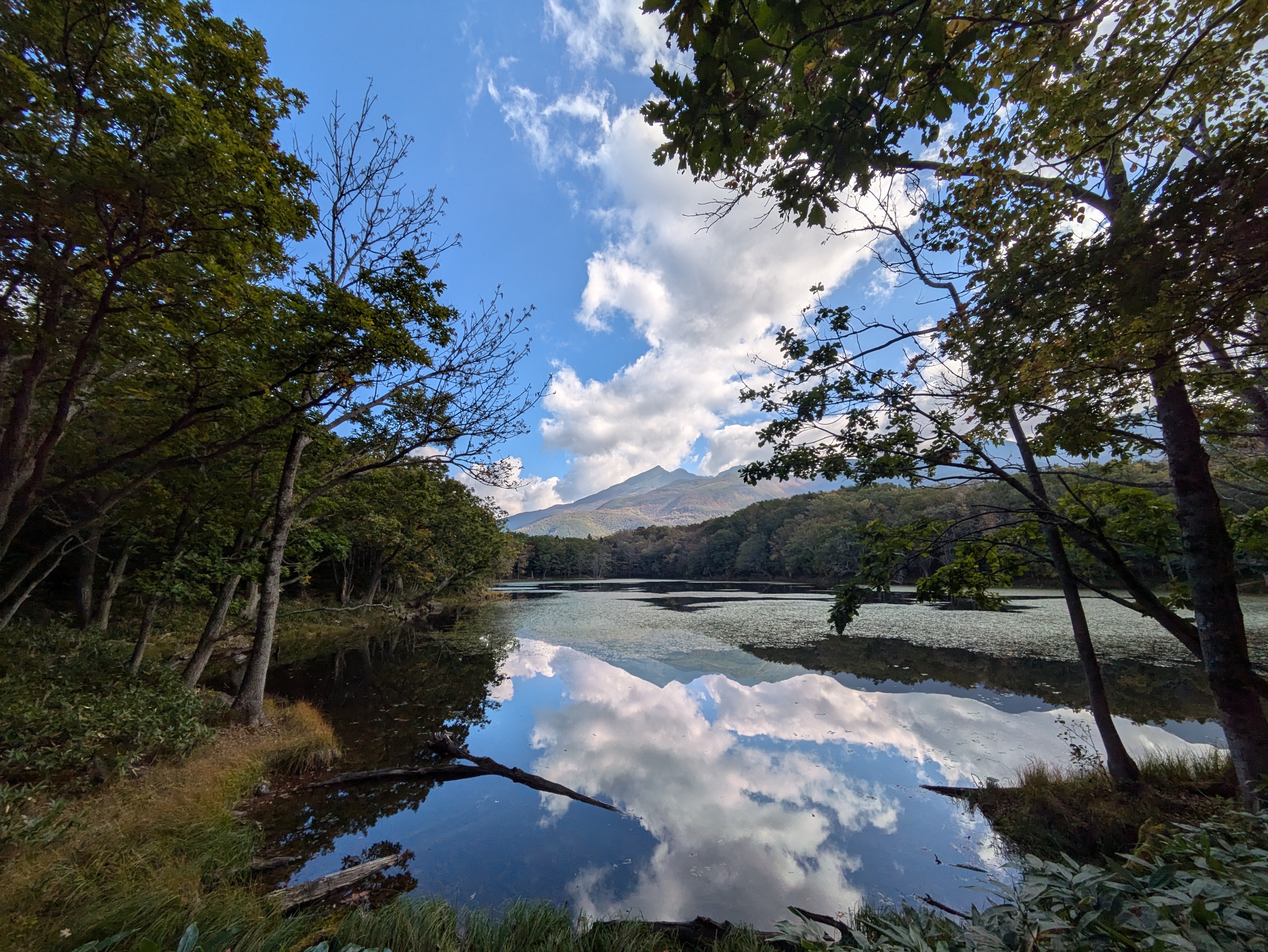 A view of one of Shiretoko's lakes in autumn. It is a very still day and the surface of the lake is like a mirror. The leaves are in their peak autumn colours.