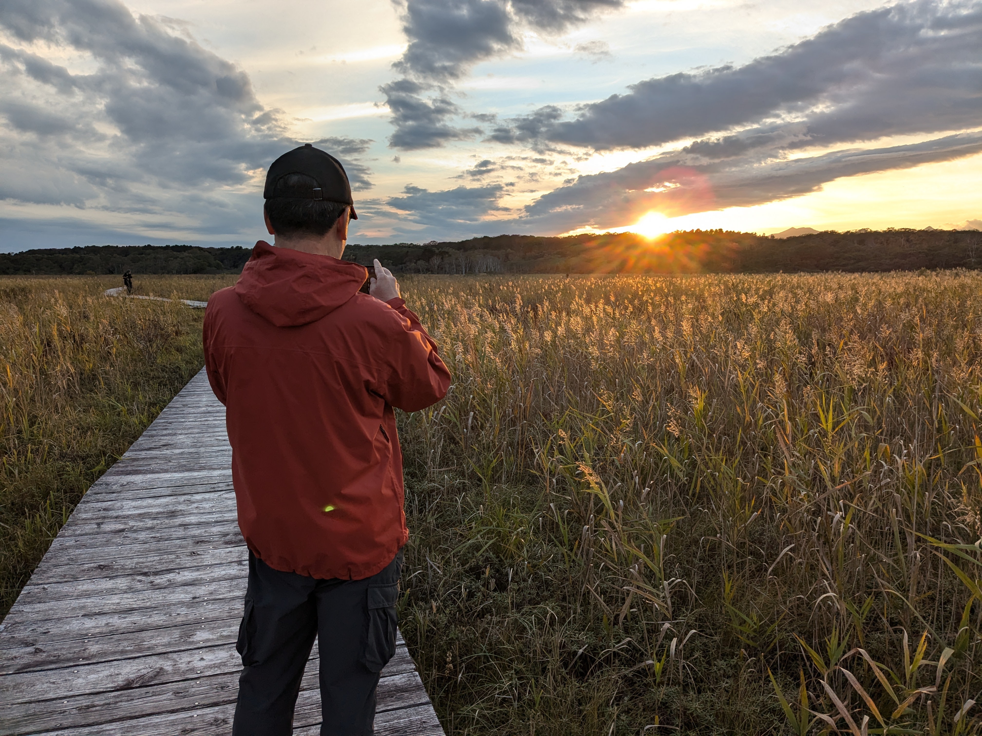 A man takes a photo of the sun setting over a field of pampas grass. The golden sunlight is catching the top of the fluffy grass heads, making the field look like a shimmering ocean.