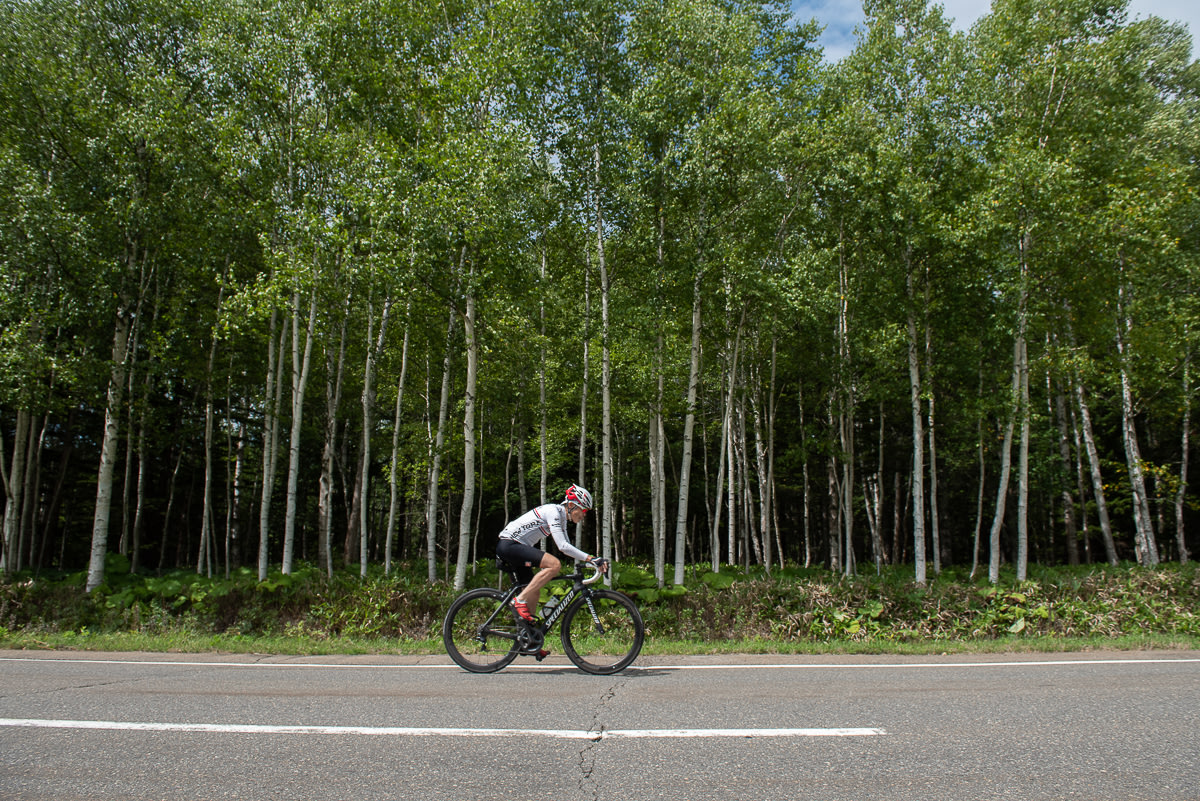 A cyclist rides past silver birch trees in the Daisetsuzan National Park