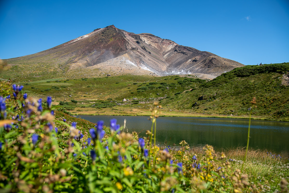 The rocky summit of Mt Asahidake stands above a green band of summer vegetation. In the foreground purple Gentian flowers look out over an alpine pond. In the distance steam can be seen rising from volcanic vents.
