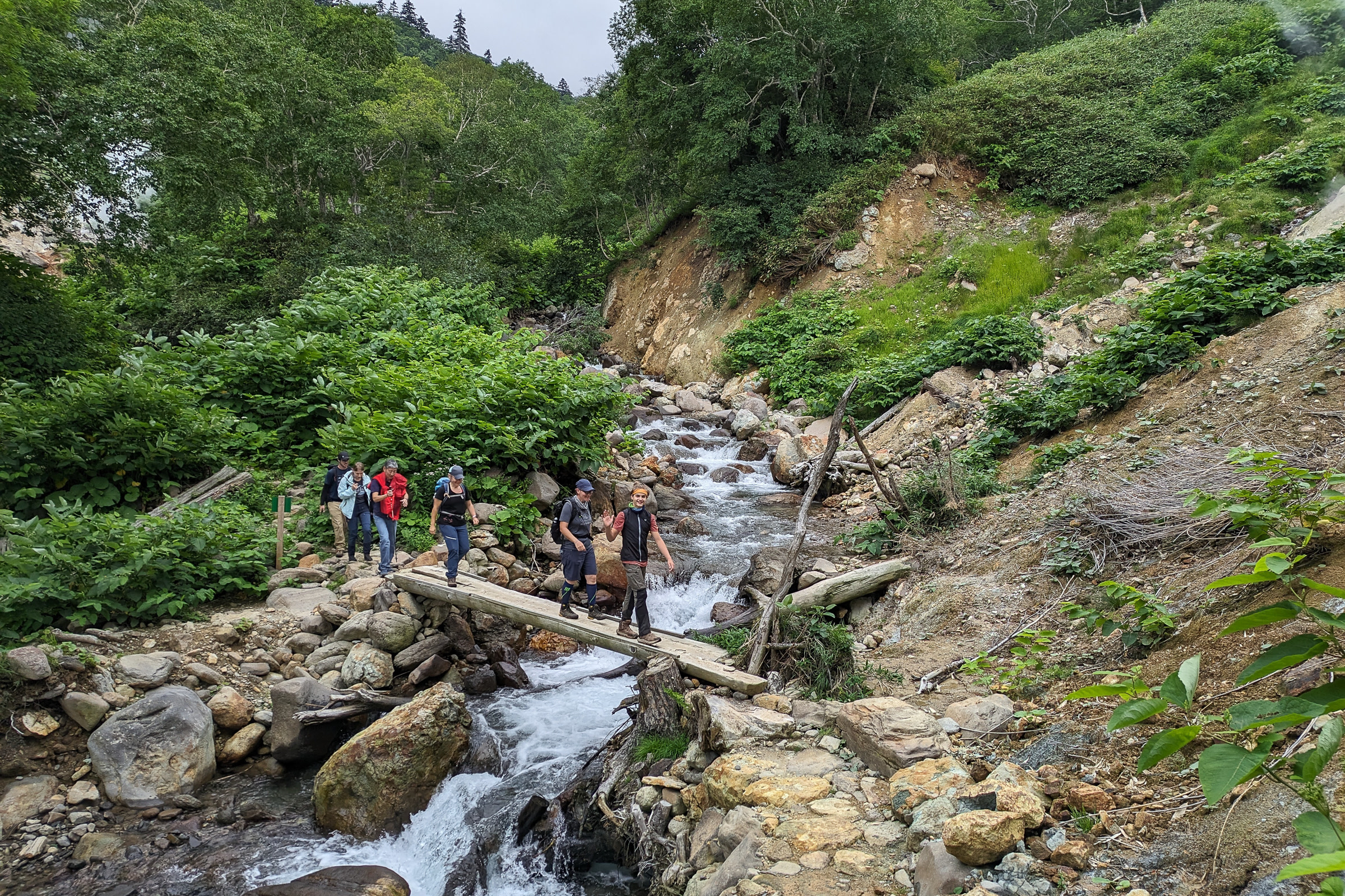 A group of six hikers wave to the camera as they cross a log bridge over a small stream.