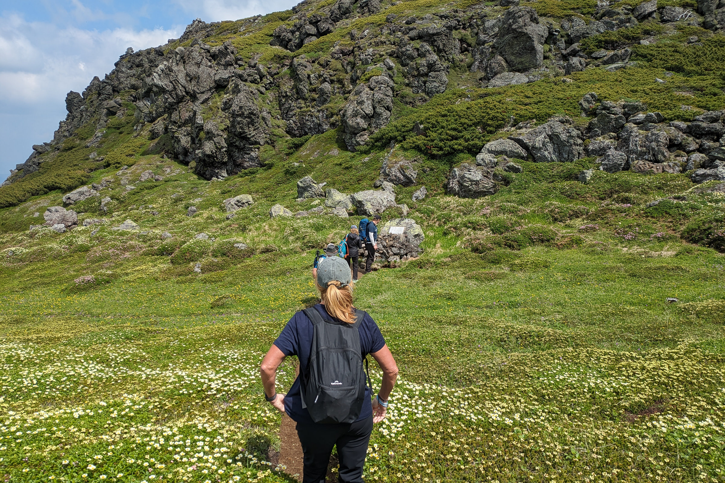Hikers on the Asahidake to Kurodake traverse walk through a field of white flowers towards a rocky bluff.