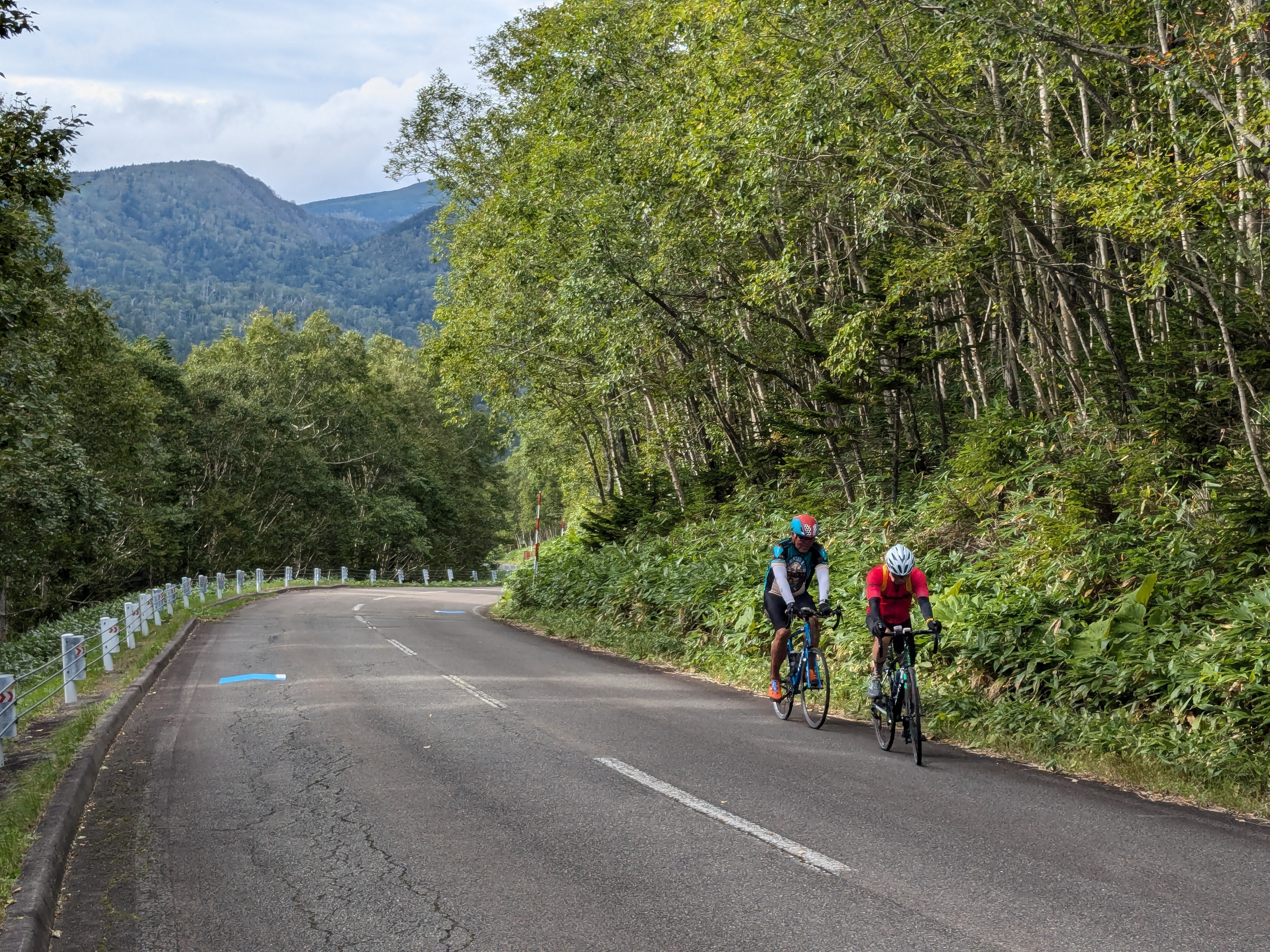 Two cyclists pedal uphill in a forested mountain pass. The lowlands of a mountain range are visible behind them.