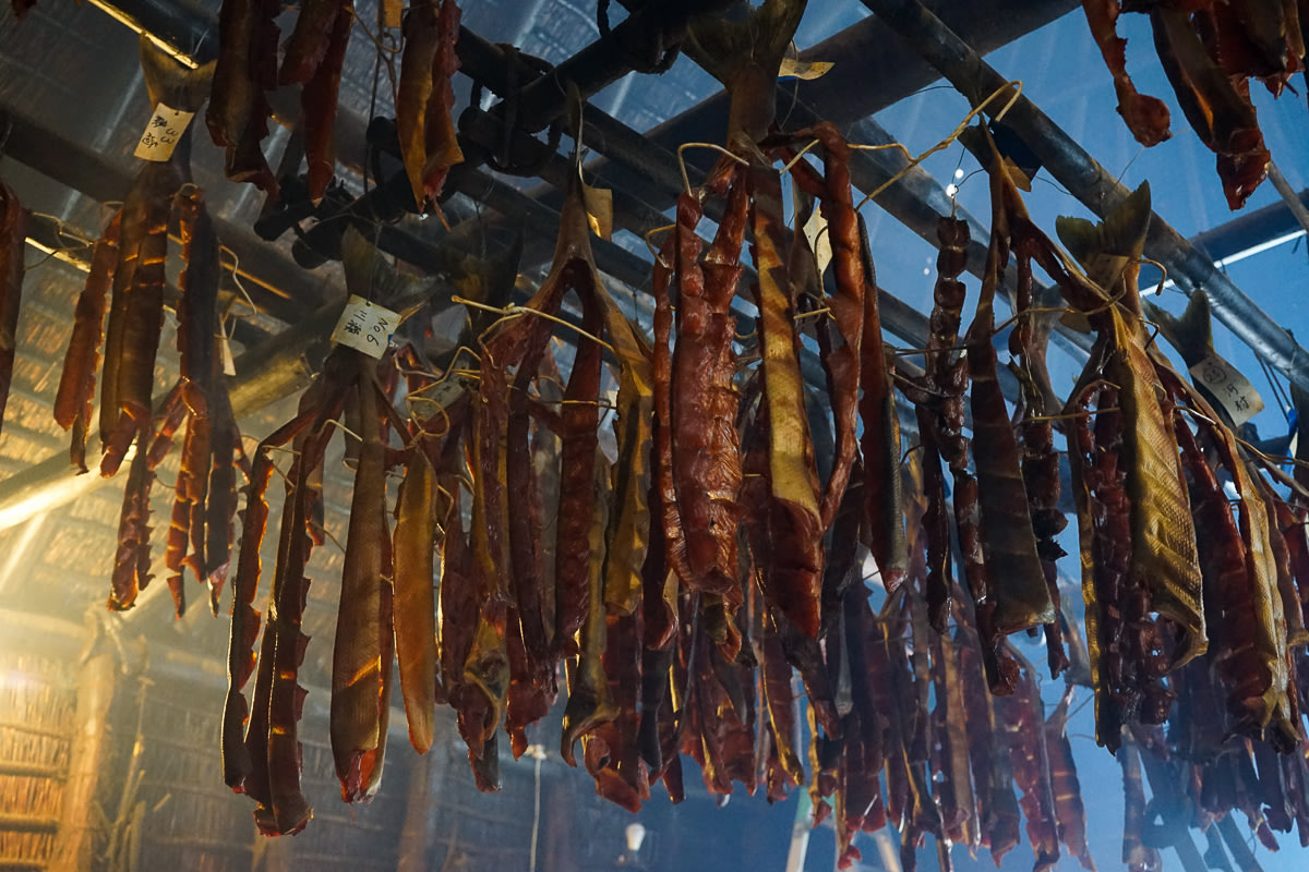 Traditional Ainu food, dried Salmon, in the Kawamura Kaneto Ainu Museum in Asahikawa, Hokkaido