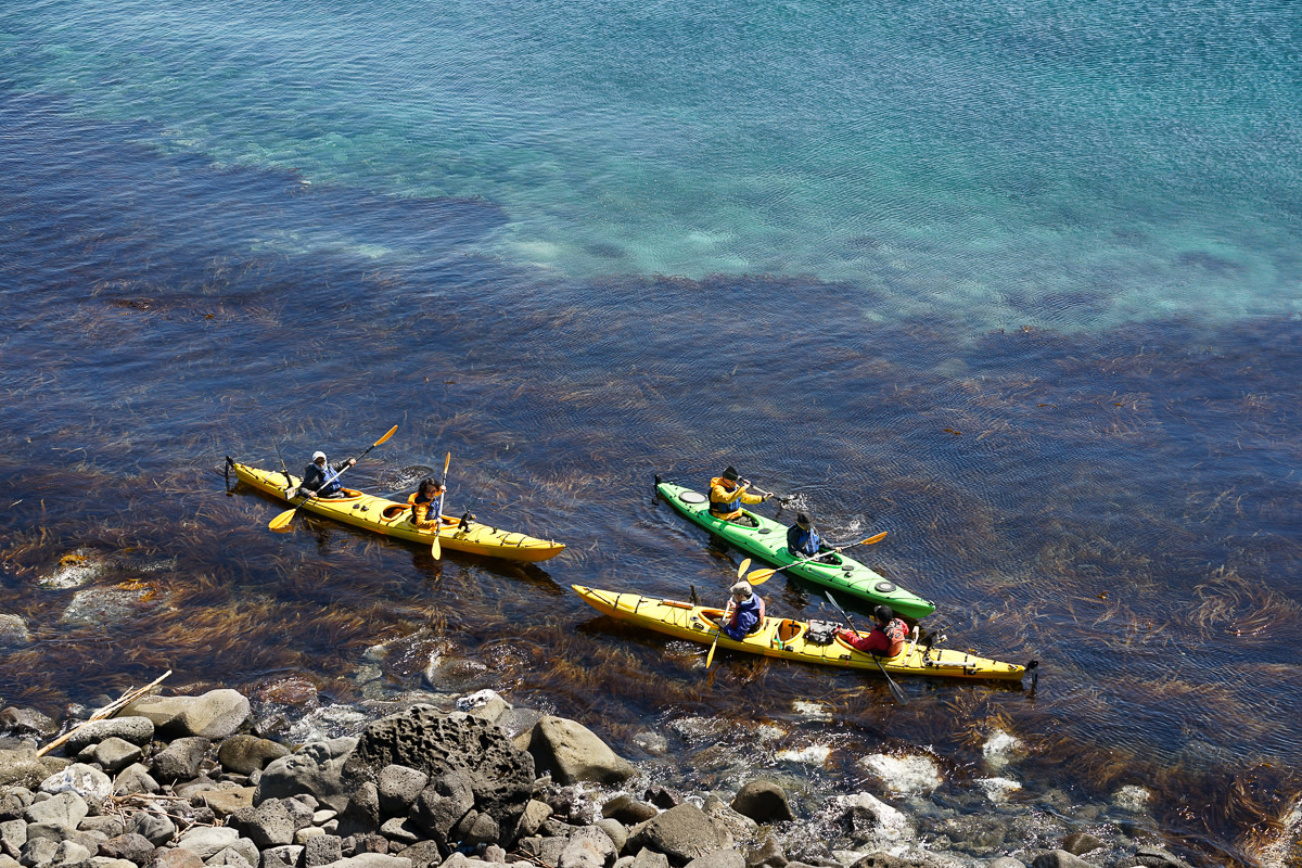 Sea kayakers paddle over kombu on Rishiri island in Hokkaido