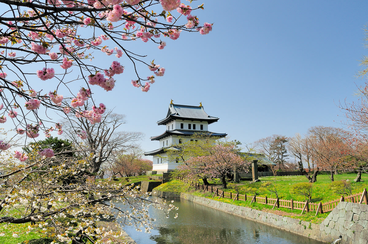 Matsumae Castle with cherry blossoms in bloom
