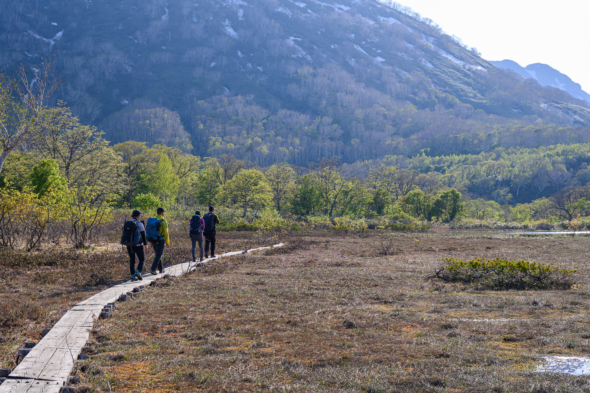 A group of four hikers walk along a boardwalk in a mountainous grassland.